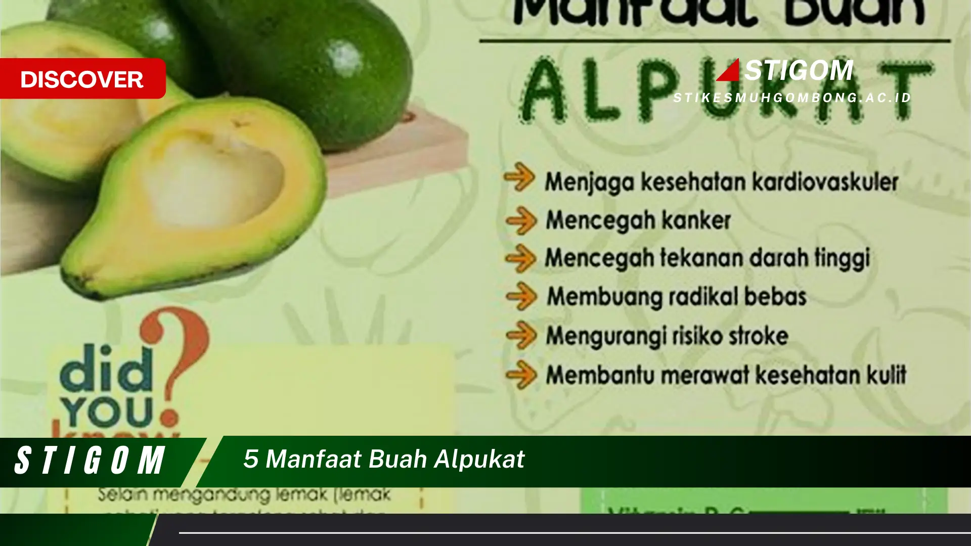 Ketahui 5 Manfaat Buah Alpukat untuk Kesehatan dan Kecantikan