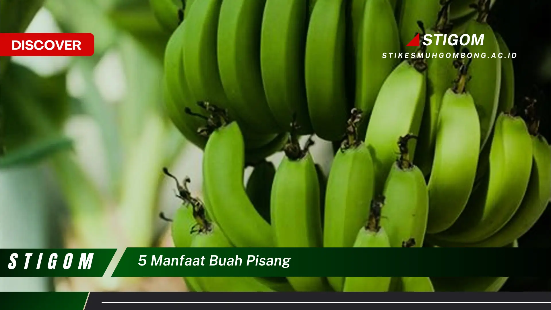 Ketahui 5 Manfaat Buah Pisang untuk Kesehatan dan Kecantikan Anda