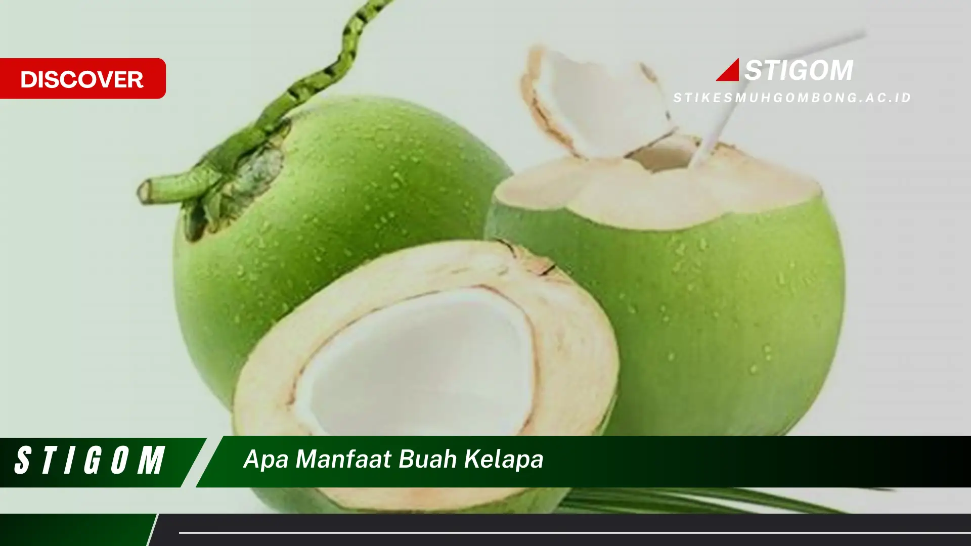 Ketahui 10 Manfaat Buah Kelapa, Panduan Lengkap dari Akar Hingga Daun