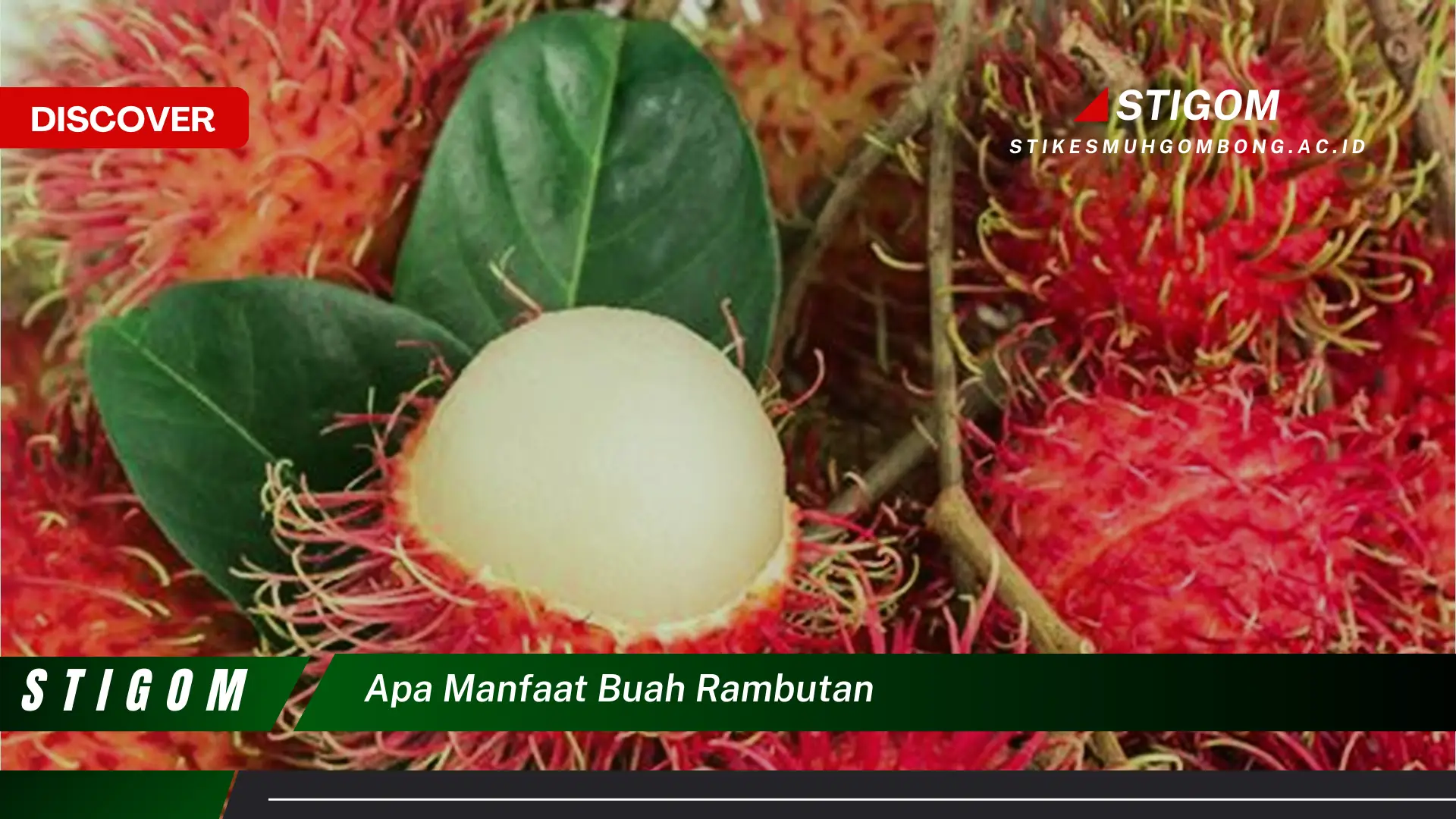 Ketahui 9 Manfaat Buah Rambutan untuk Kesehatan Tubuh Anda