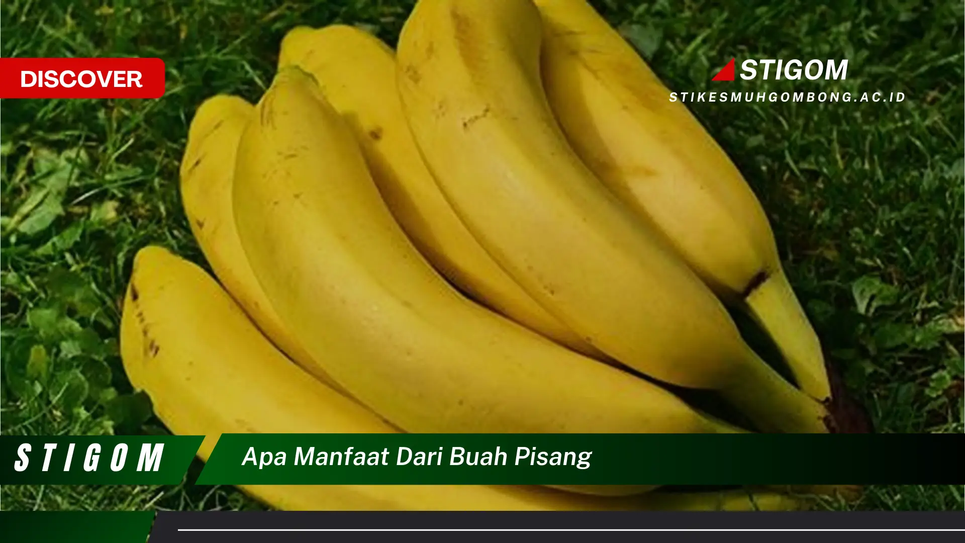 Ketahui 8 Manfaat Buah Pisang untuk Kesehatan, Kecantikan, dan Diet