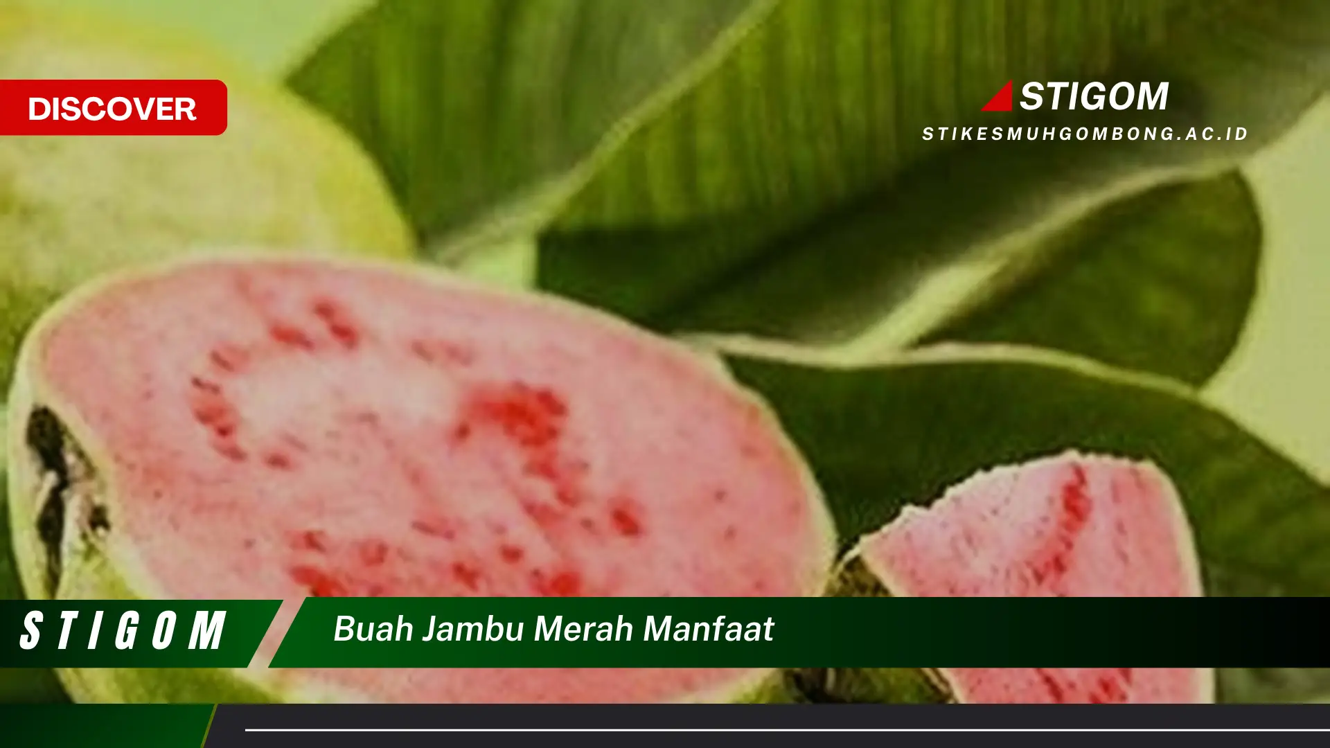 Ketahui 10 Manfaat Buah Jambu Merah untuk Kesehatan Anda