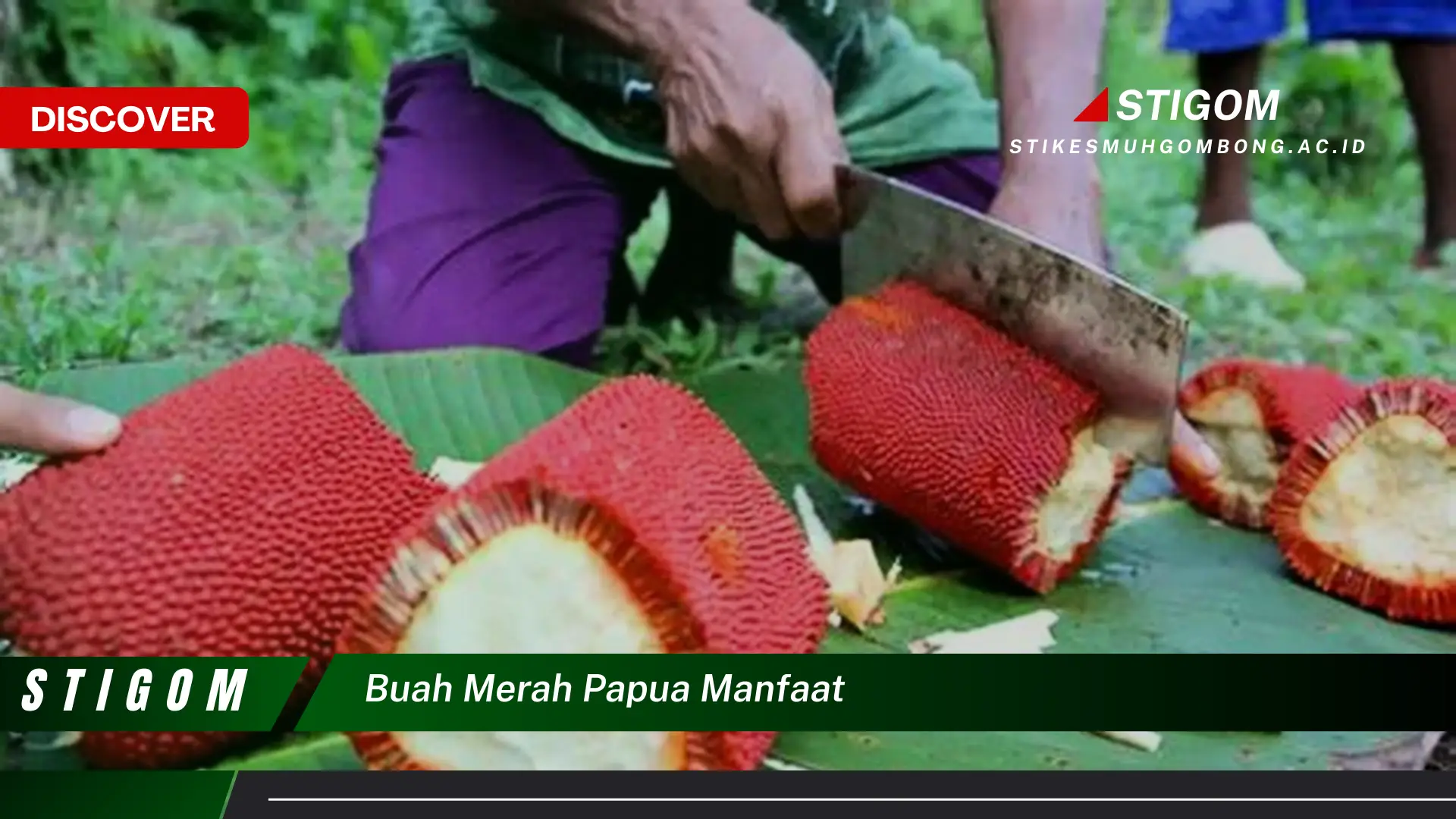 Ketahui 8 Manfaat Buah Merah Papua untuk Kesehatan dan Kecantikan