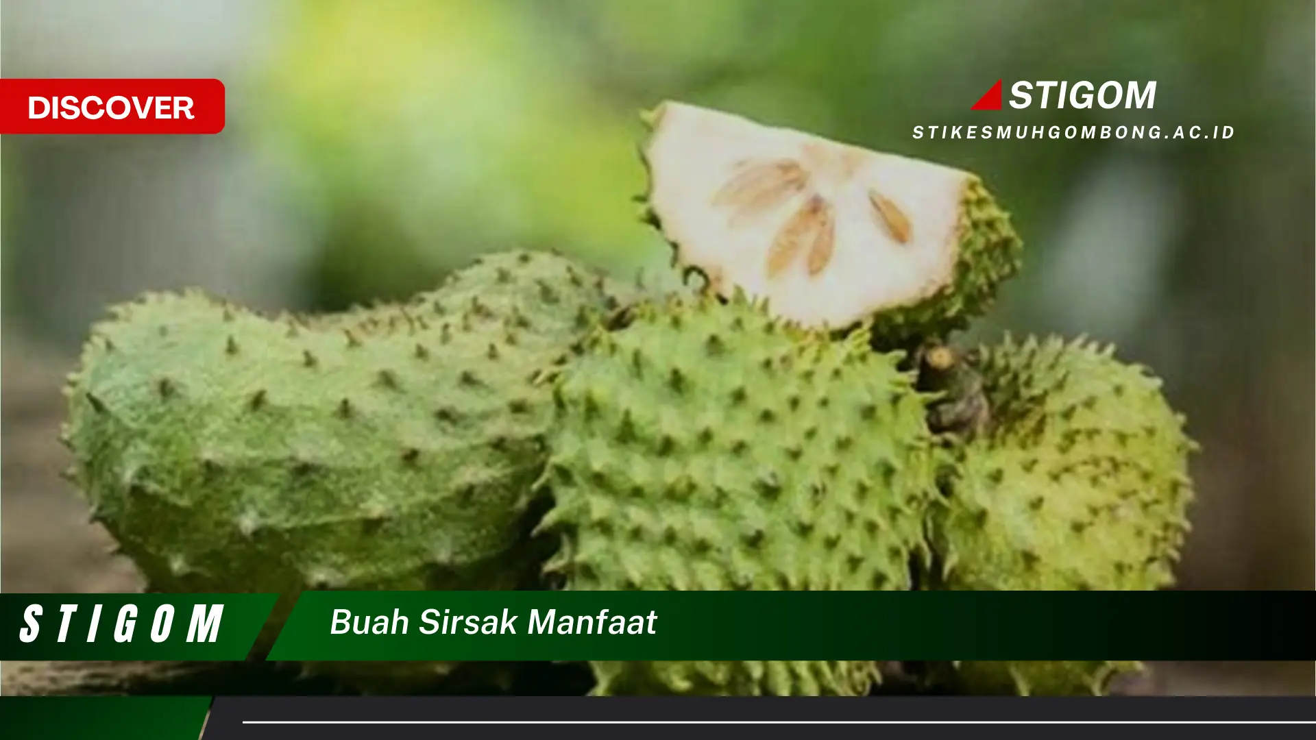 Temukan 9 Manfaat Buah Sirsak untuk Kesehatan Tubuh Anda