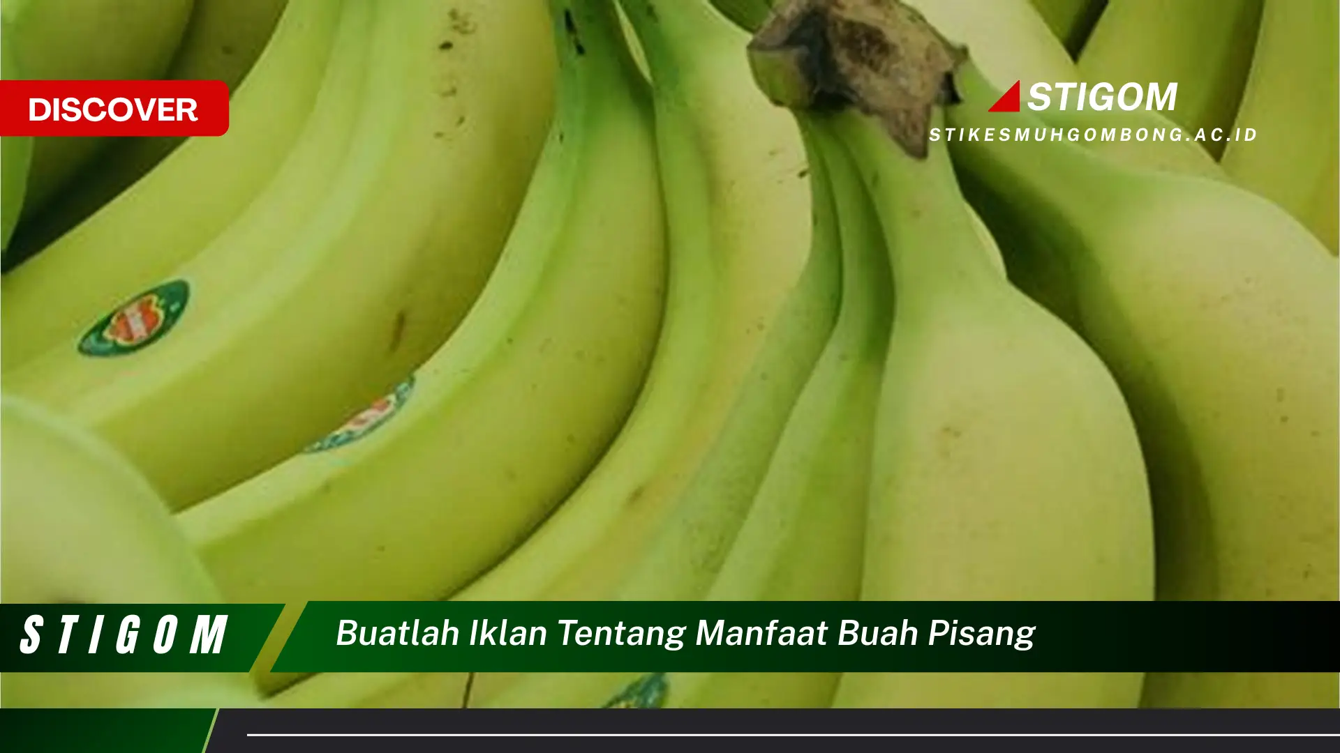 Ketahui 8 Manfaat Buah Pisang, Dari Kesehatan Jantung Hingga Energi untuk Aktivitas