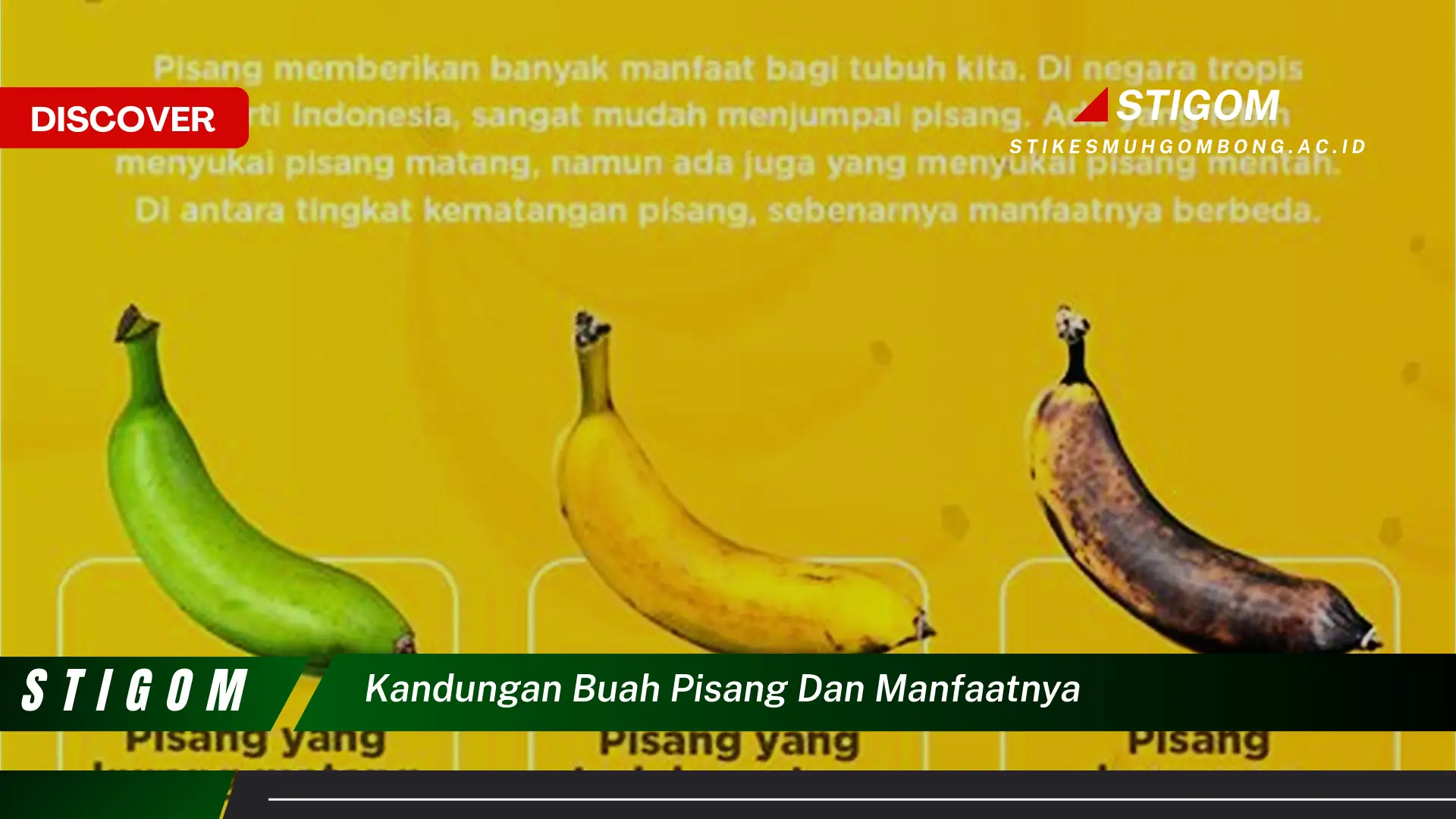 Ketahui 8 Manfaat Kandungan Buah Pisang dan Khasiatnya untuk Kesehatan Anda