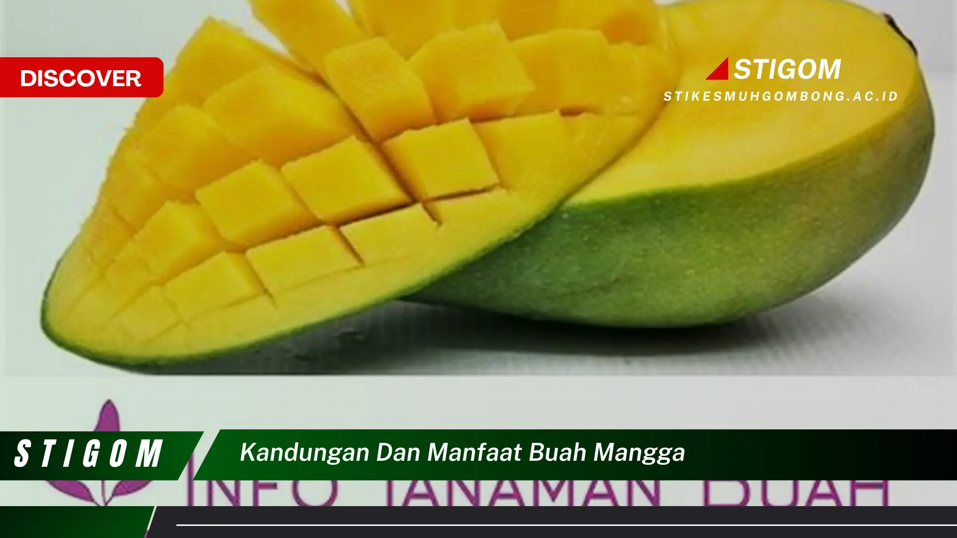 Ketahui Kandungan dan Manfaat Buah Mangga untuk Kesehatan Anda