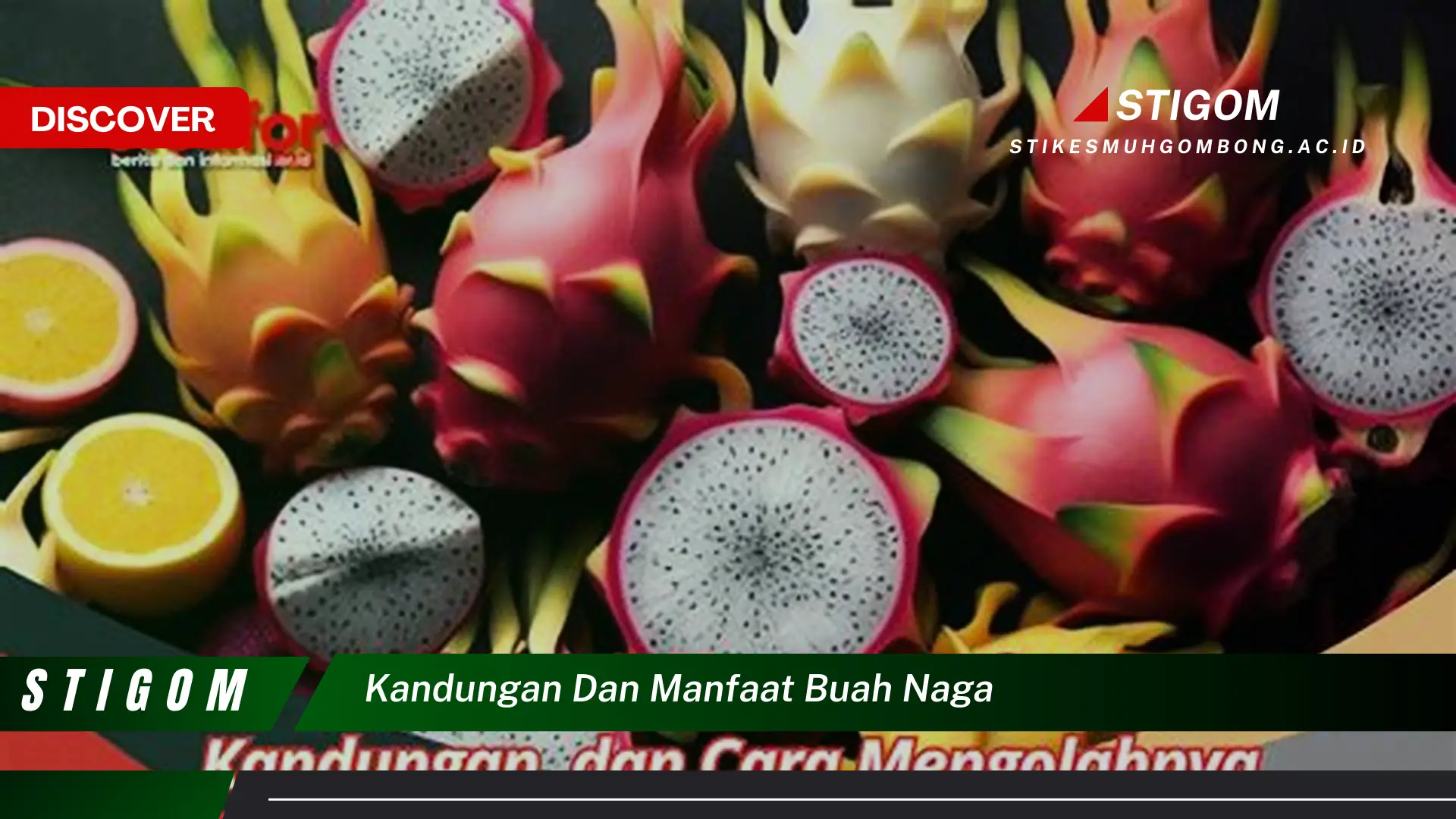 Ketahui Kandungan dan Manfaat Buah Naga untuk Kesehatan Tubuh Anda