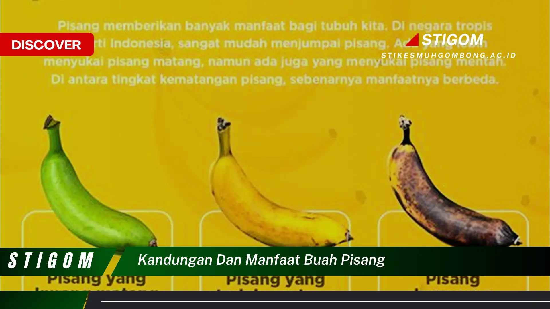 Ketahui Kandungan dan Manfaat Buah Pisang untuk Kesehatan Tubuh Anda