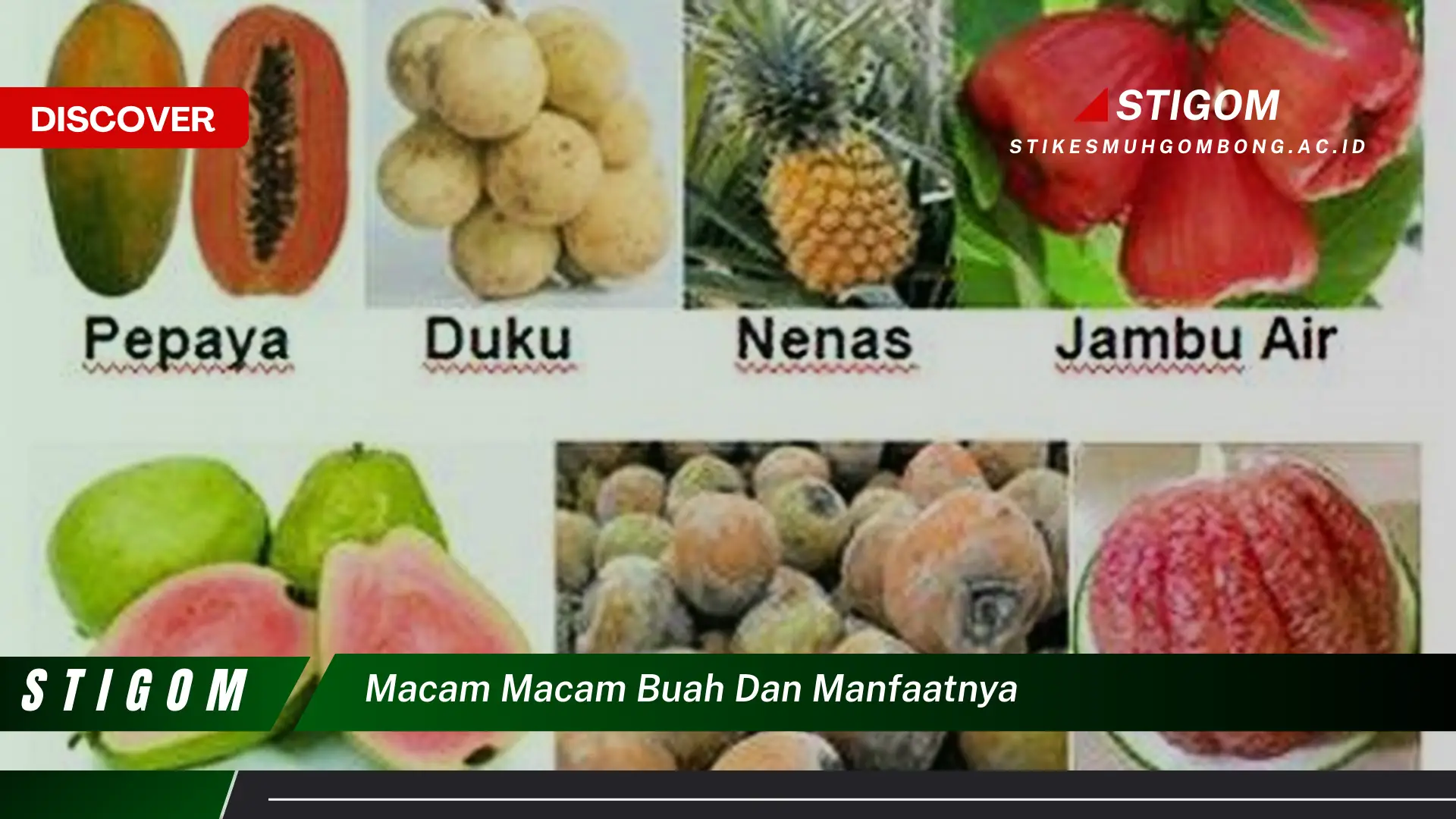 Ketahui Macam Macam Buah dan Manfaatnya untuk Kesehatan Anda