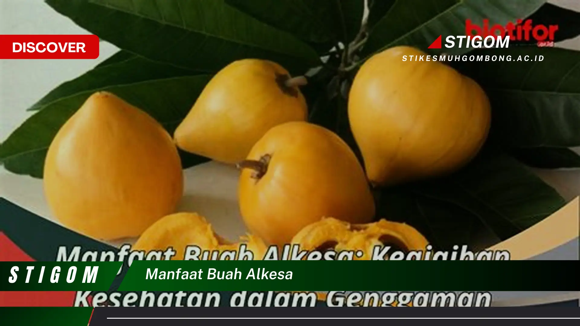 Ketahui 10 Manfaat Buah Alkesa untuk Kesehatan Tubuh Anda