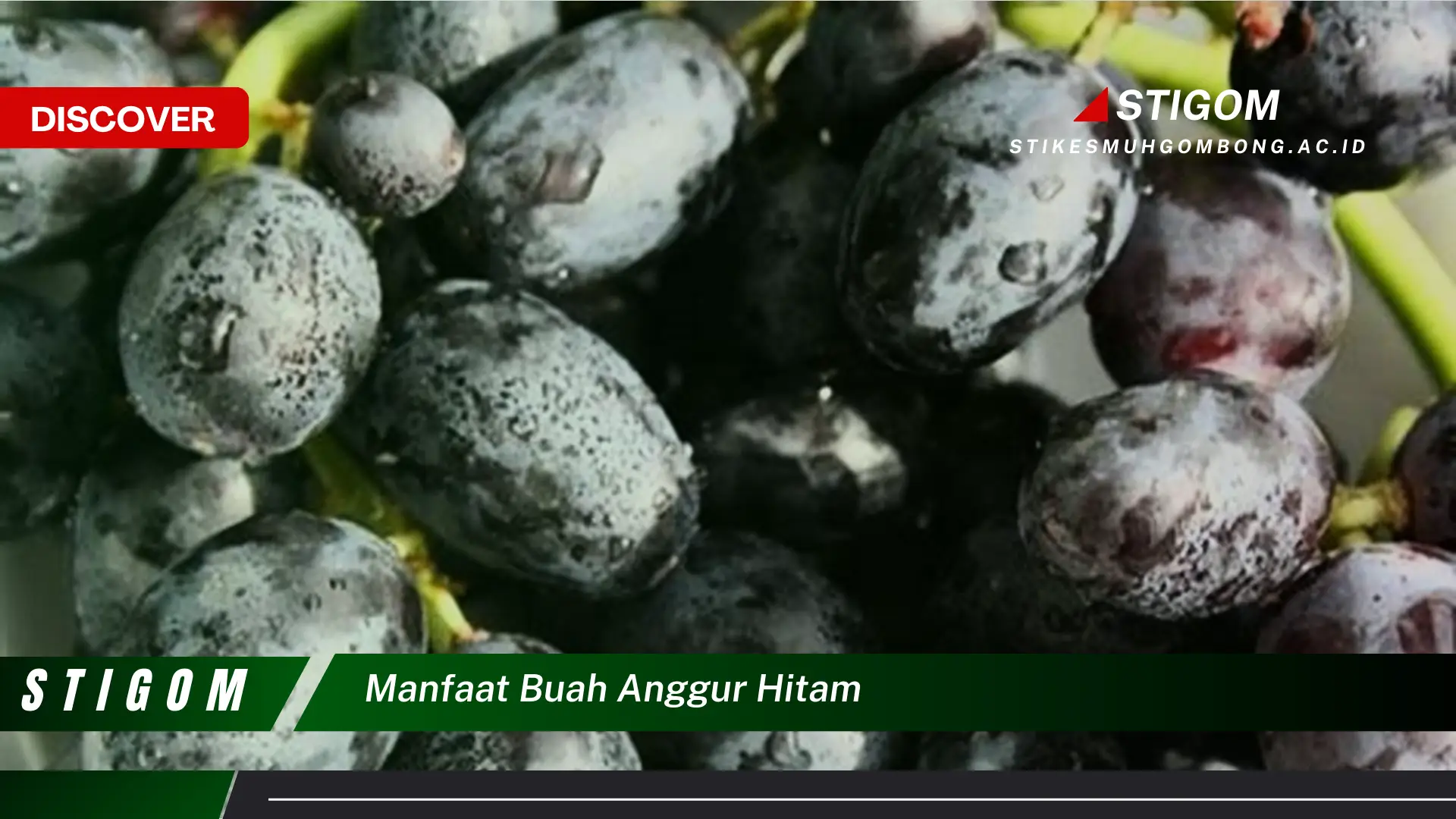 Ketahui 9 Manfaat Buah Anggur Hitam untuk Kesehatan Tubuh Anda