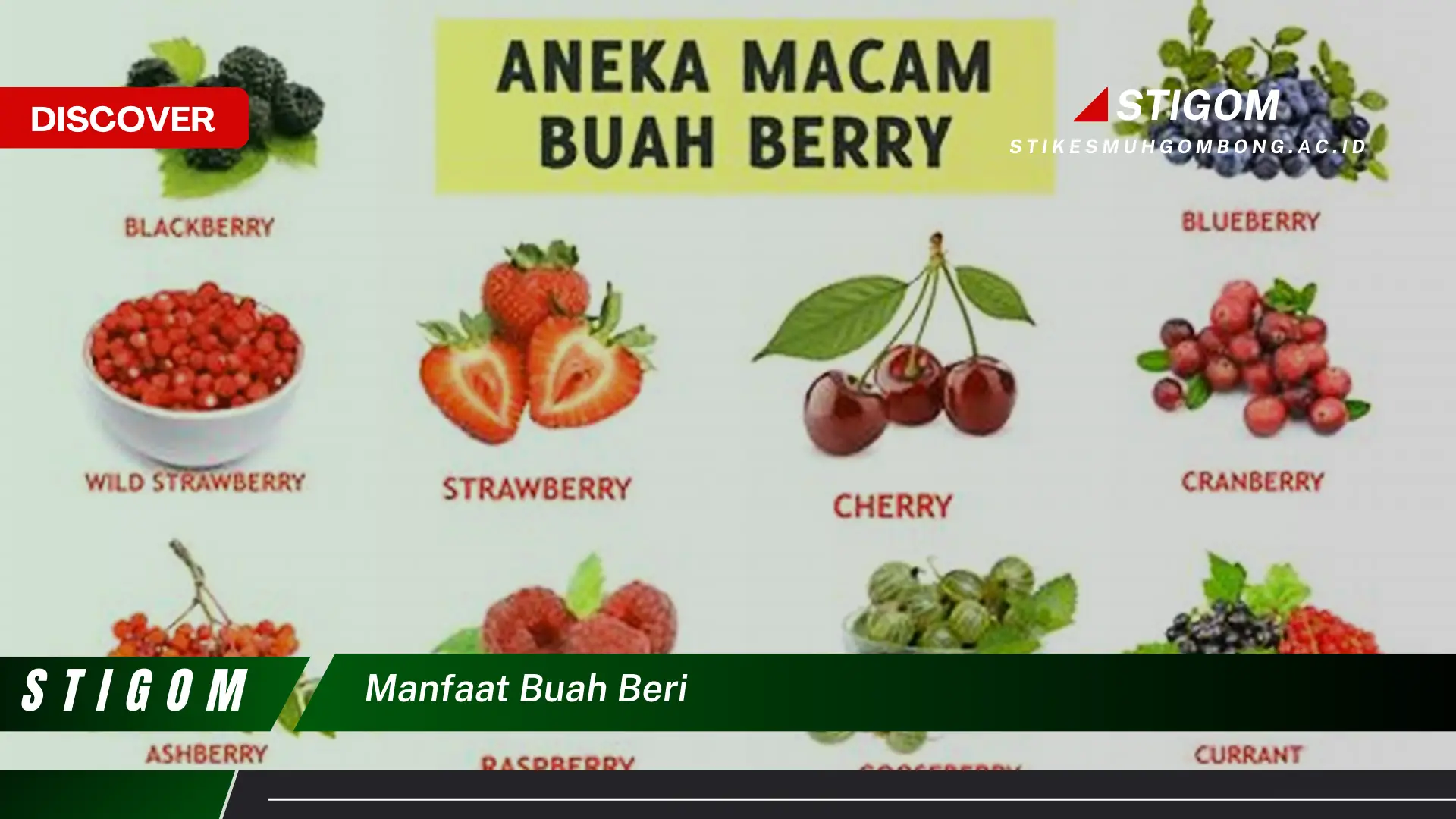 Ketahui 9 Manfaat Buah Beri, Blueberry, Strawberry, Raspberry, dan Lainnya untuk Kesehatan