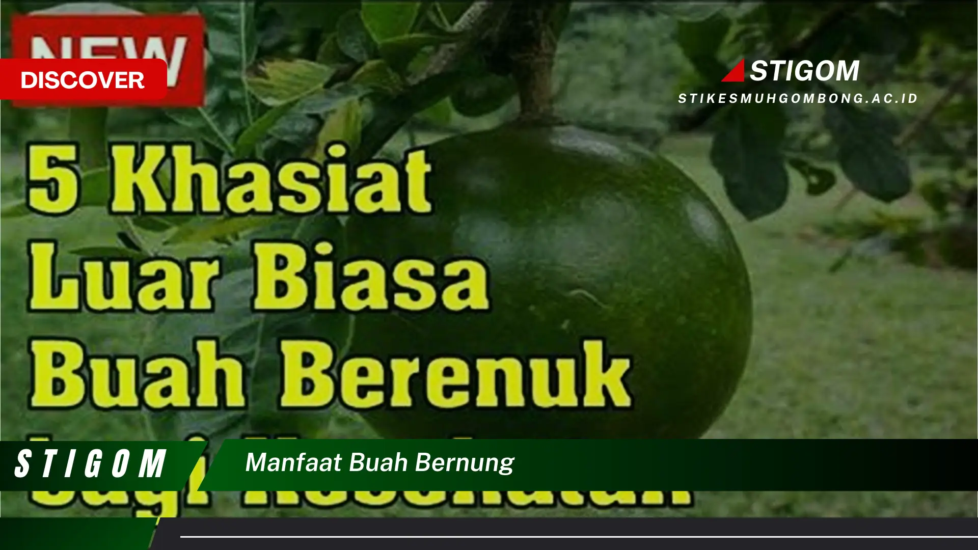 Ketahui 10 Manfaat Buah Bernung untuk Kesehatan Anda