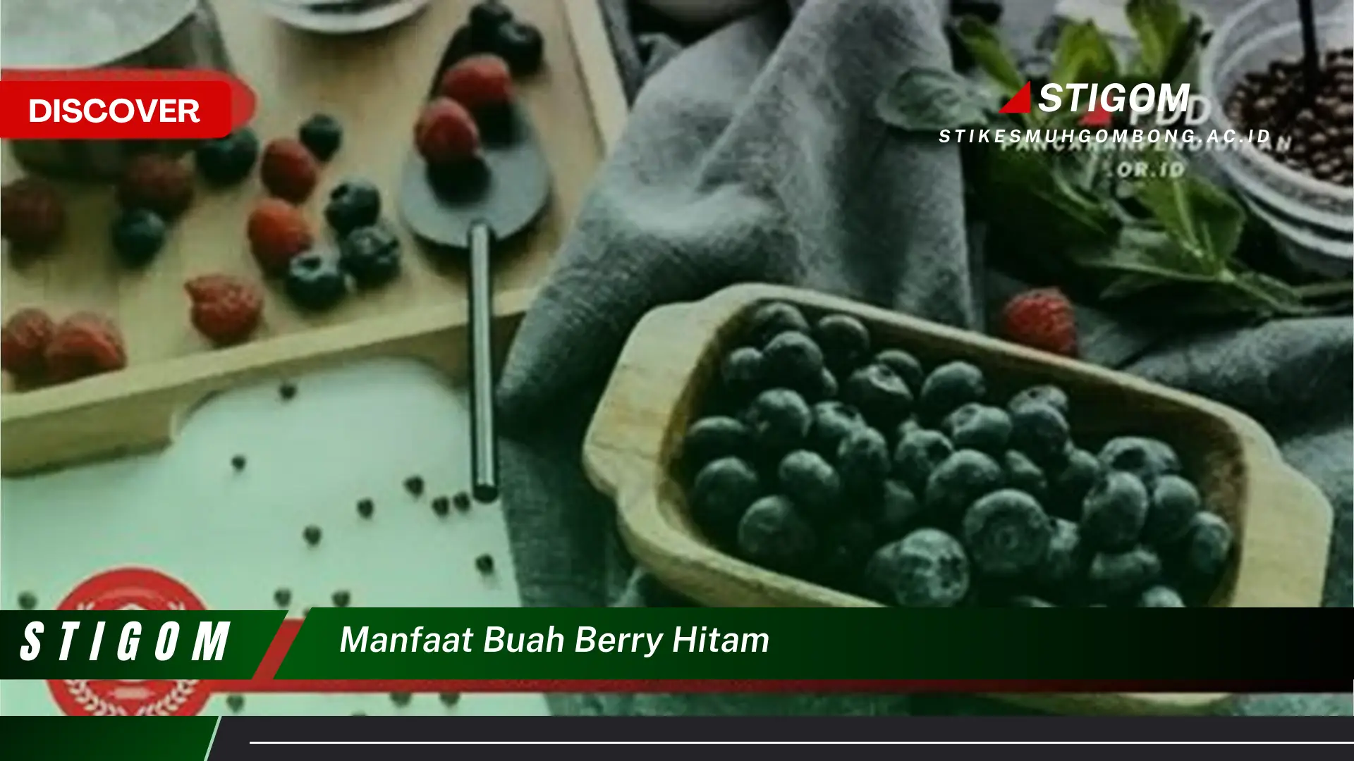 Ketahui 9 Manfaat Buah Berry Hitam untuk Kesehatan Anda