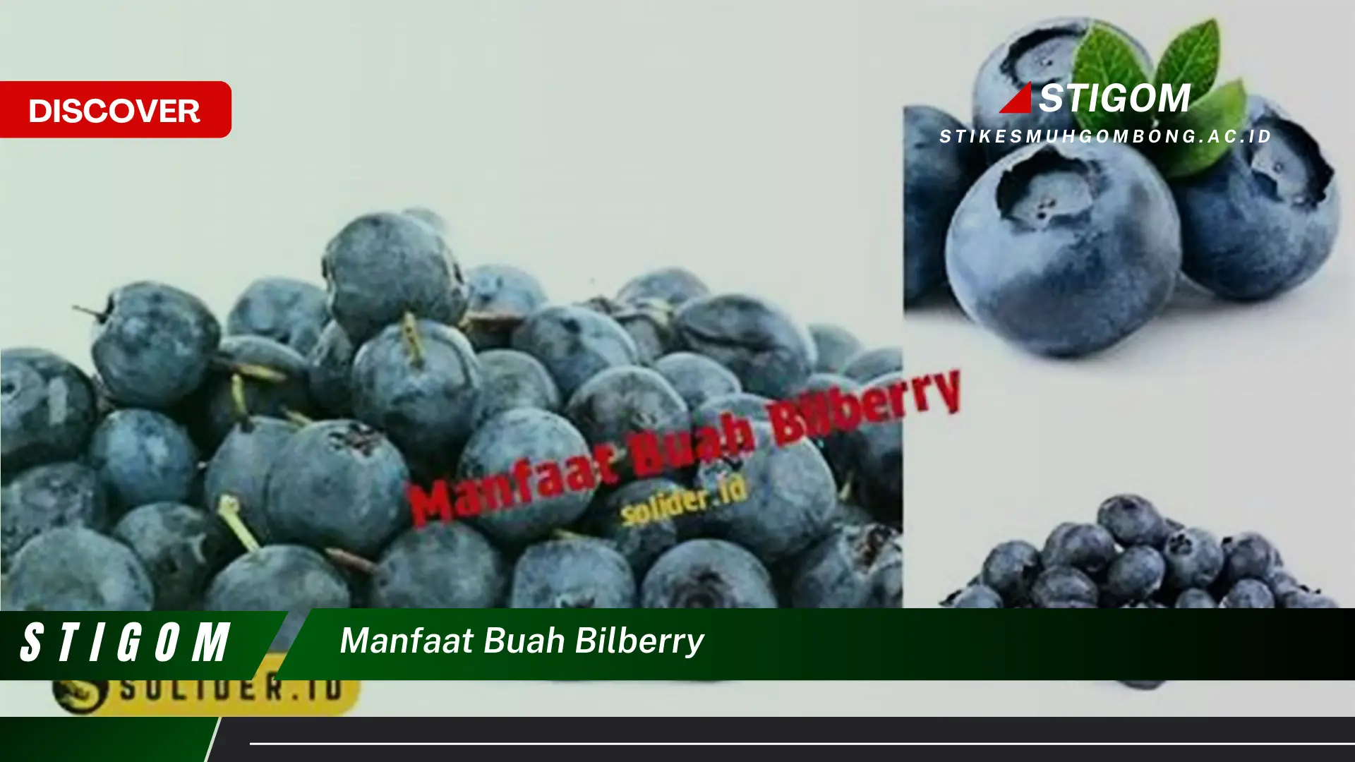 Ketahui 8 Manfaat Buah Bilberry untuk Kesehatan Mata dan Tubuh Anda