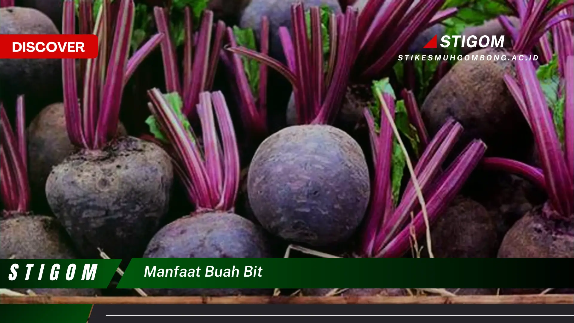 Ketahui 9 Manfaat Buah Bit untuk Kesehatan Tubuh Anda