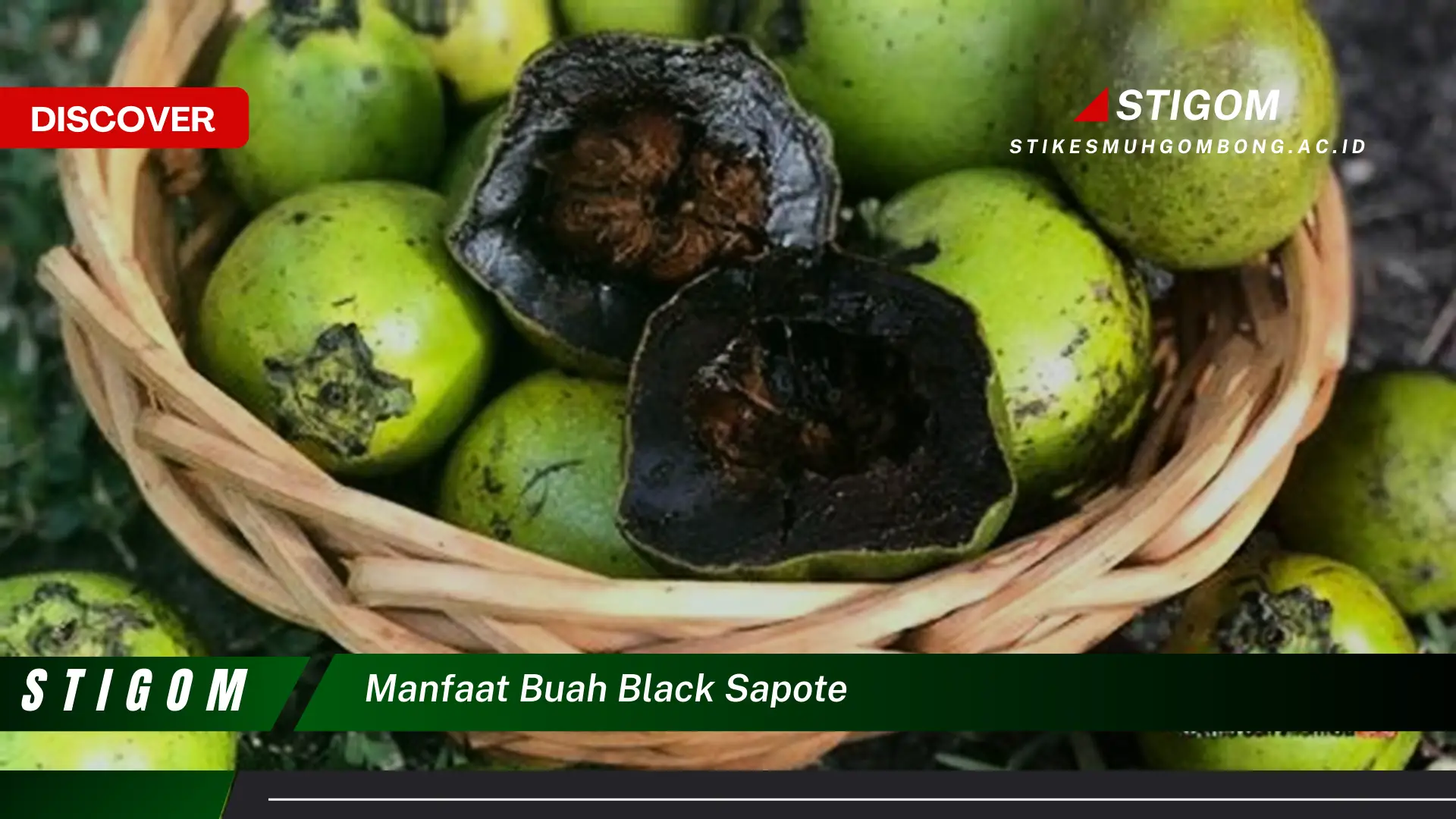 Ketahui 8 Manfaat Buah Black Sapote untuk Kesehatan Tubuh Anda