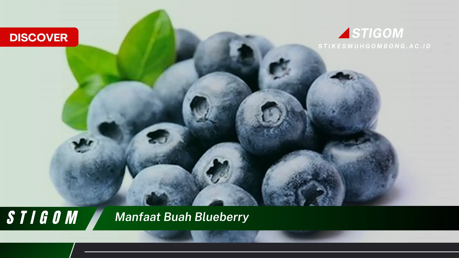 Ketahui 8 Manfaat Buah Blueberry untuk Kesehatan Tubuh Anda