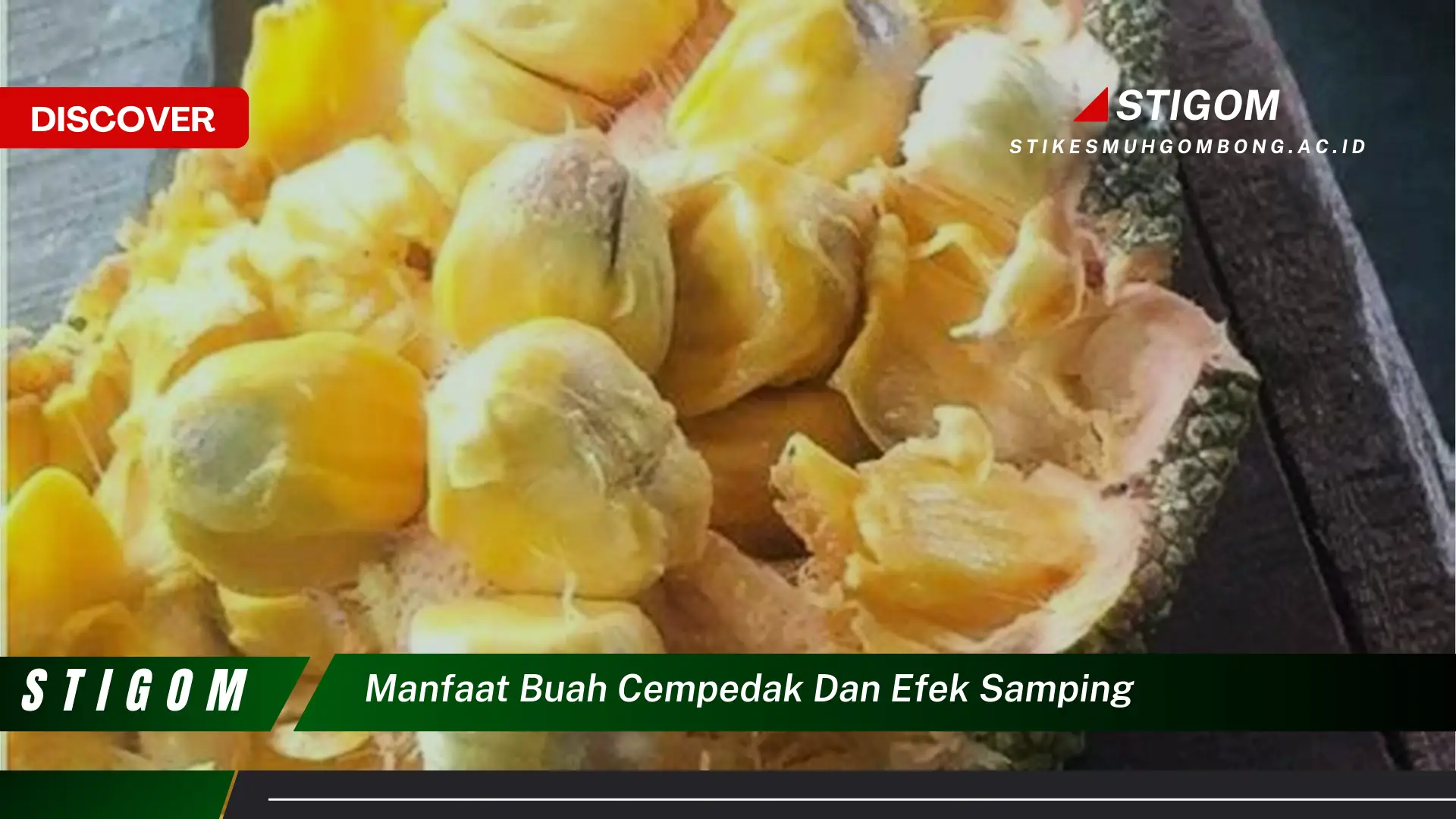 Ketahui 10 Manfaat Buah Cempedak dan Efek Sampingnya untuk Kesehatan