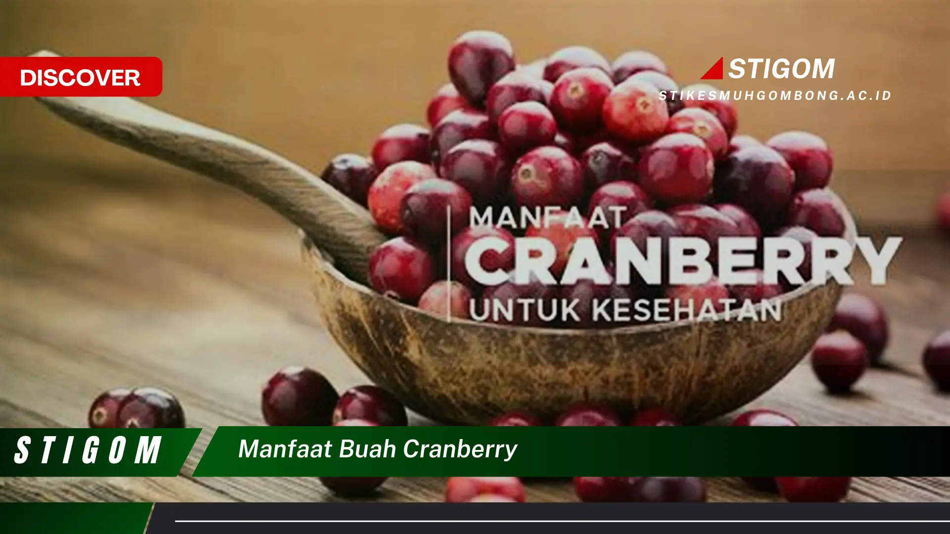 Ketahui 8 Manfaat Buah Cranberry untuk Kesehatan Anda Secara Lengkap