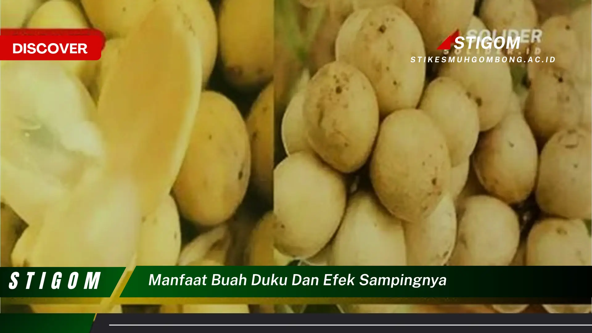 Ketahui 9 Manfaat Buah Duku untuk Kesehatan dan Efek Samping yang Perlu Diwaspadai