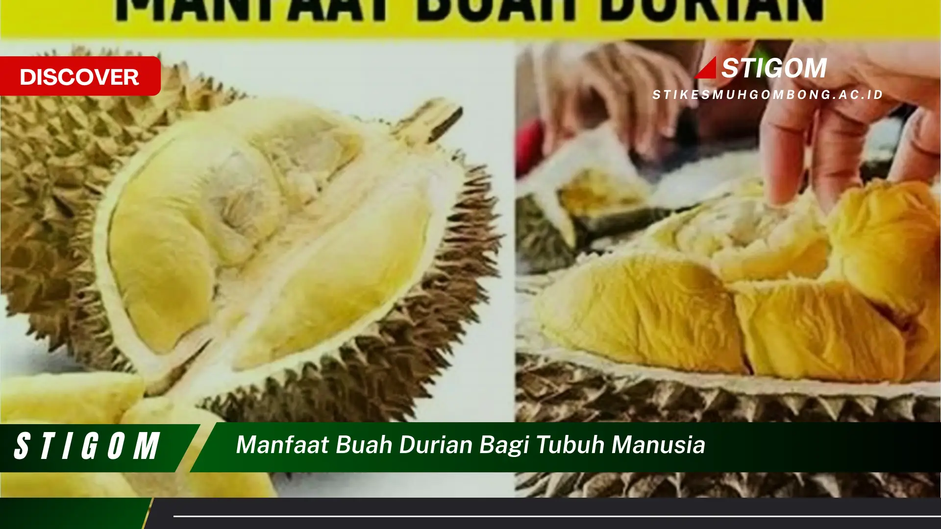 Ketahui 9 Manfaat Buah Durian Bagi Tubuh Manusia, Dari Kesehatan Jantung Hingga Penambah Energi