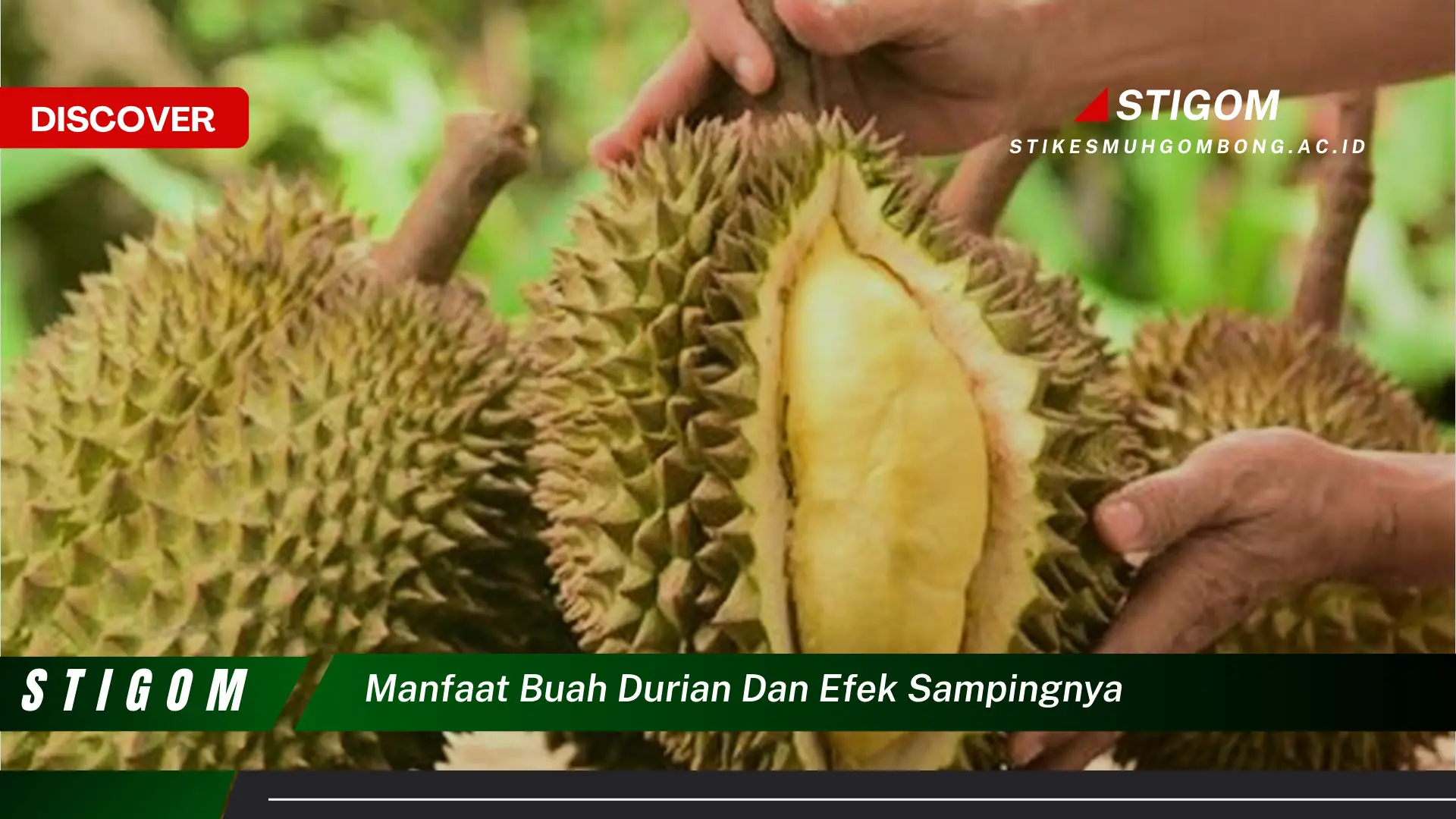 Ketahui 9 Manfaat Buah Durian dan Efek Sampingnya untuk Kesehatan Anda