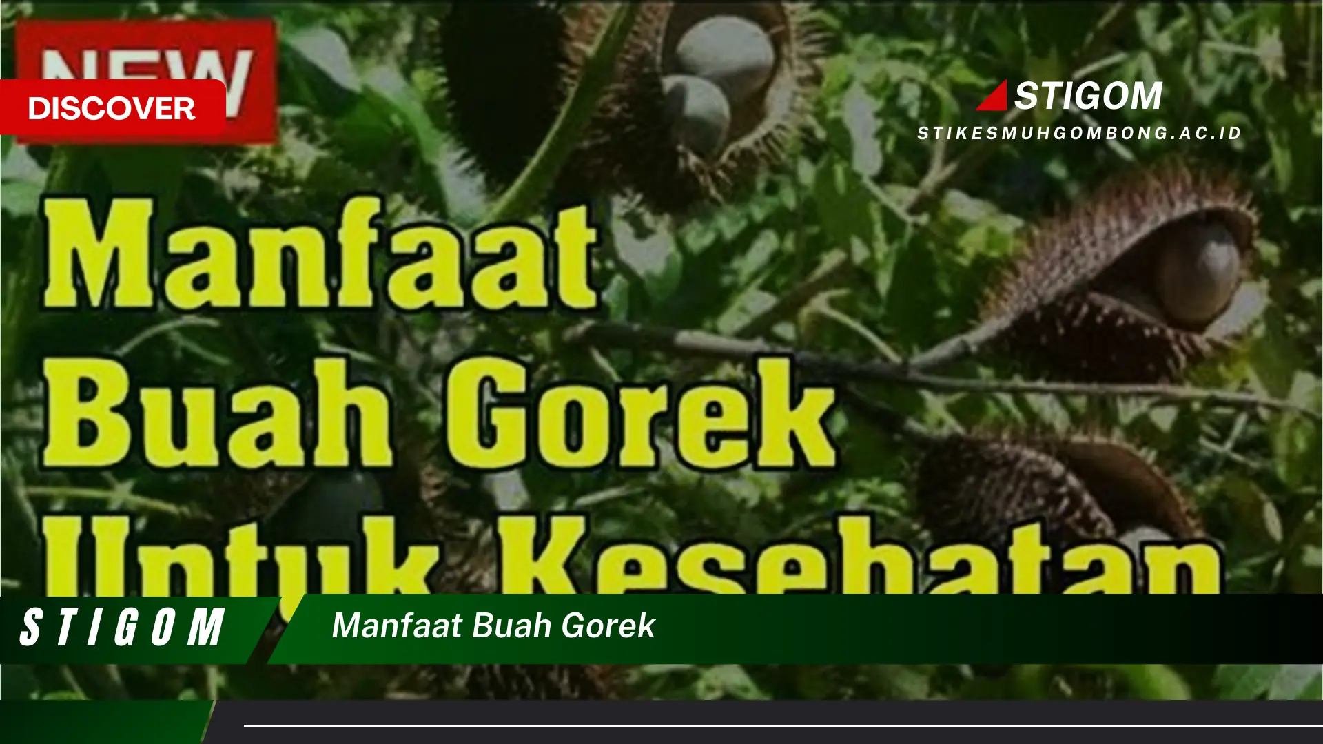 Ketahui 10 Manfaat Buah Gorek untuk Kesehatan Anda