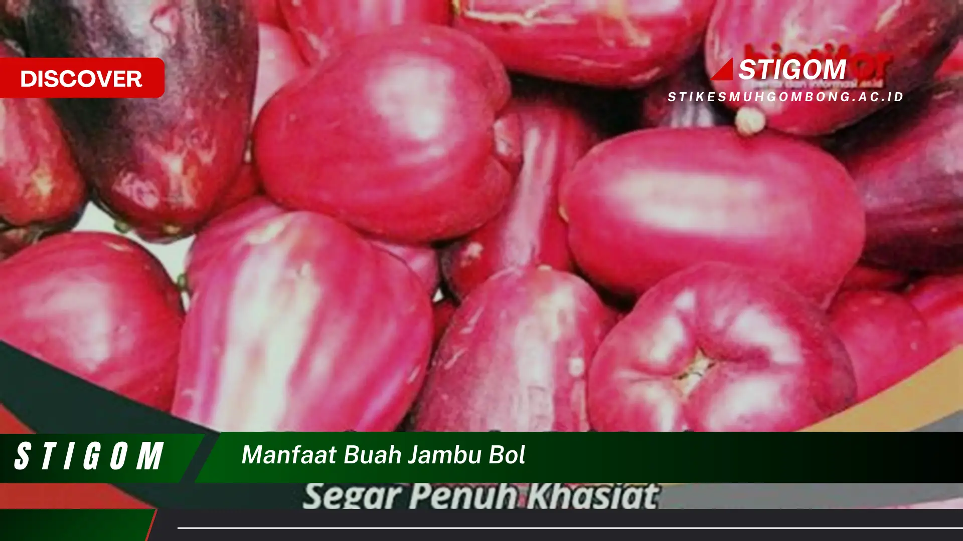 Ketahui 8 Manfaat Buah Jambu Bol untuk Kesehatan Tubuh Anda