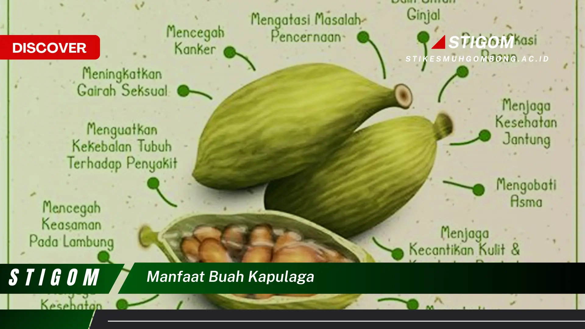 Ketahui 8 Manfaat Buah Kapulaga untuk Kesehatan Anda