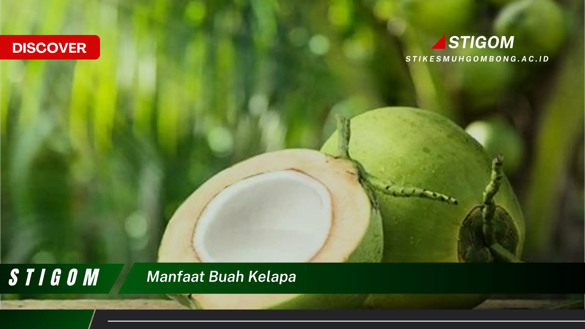 Ketahui 9 Manfaat Buah Kelapa Secara Lengkap, Dari Akar Hingga Daun