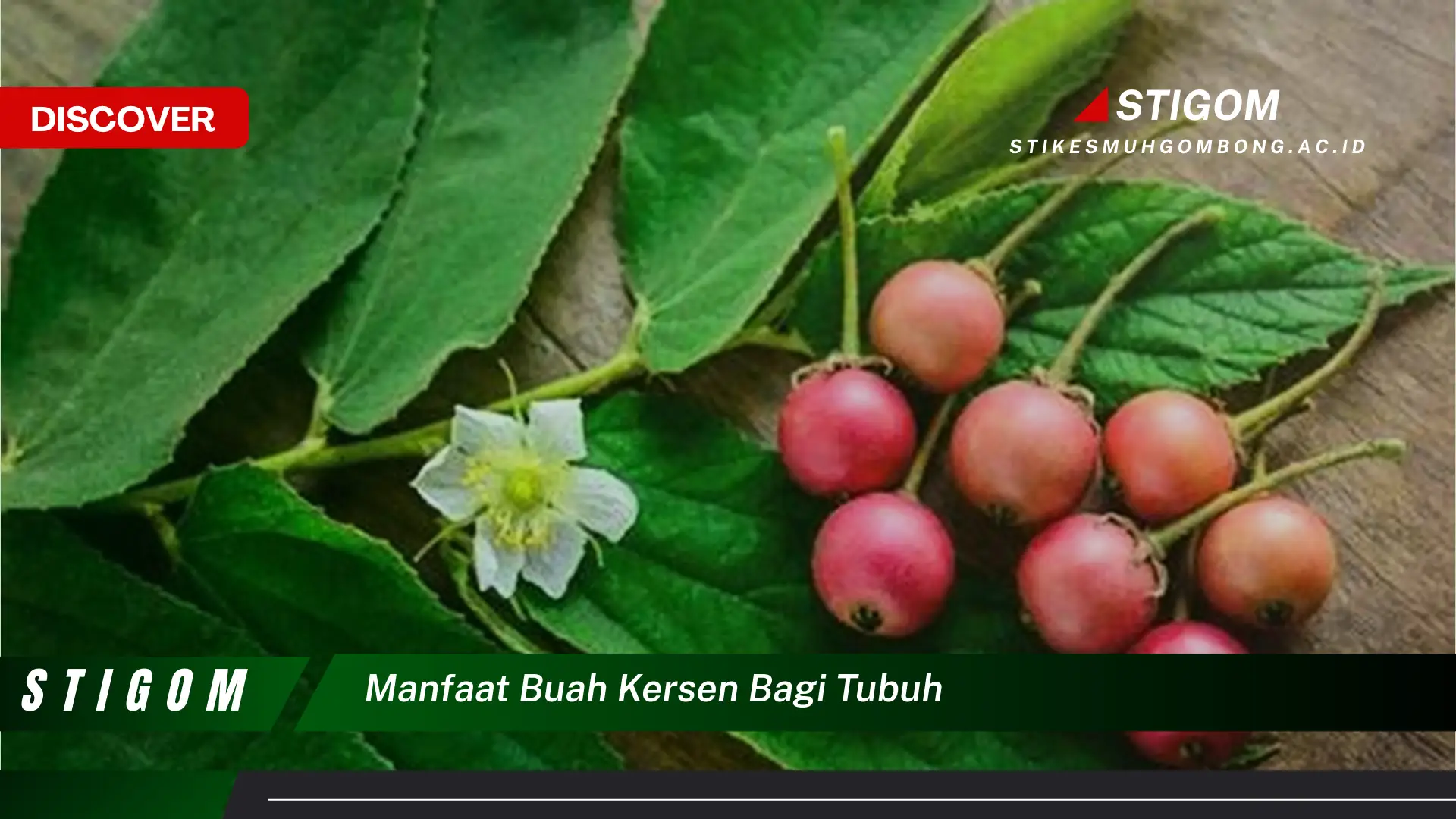 Temukan 8 Manfaat Buah Kersen bagi Tubuh,  Dari Kesehatan Jantung Hingga Kulit Cantik