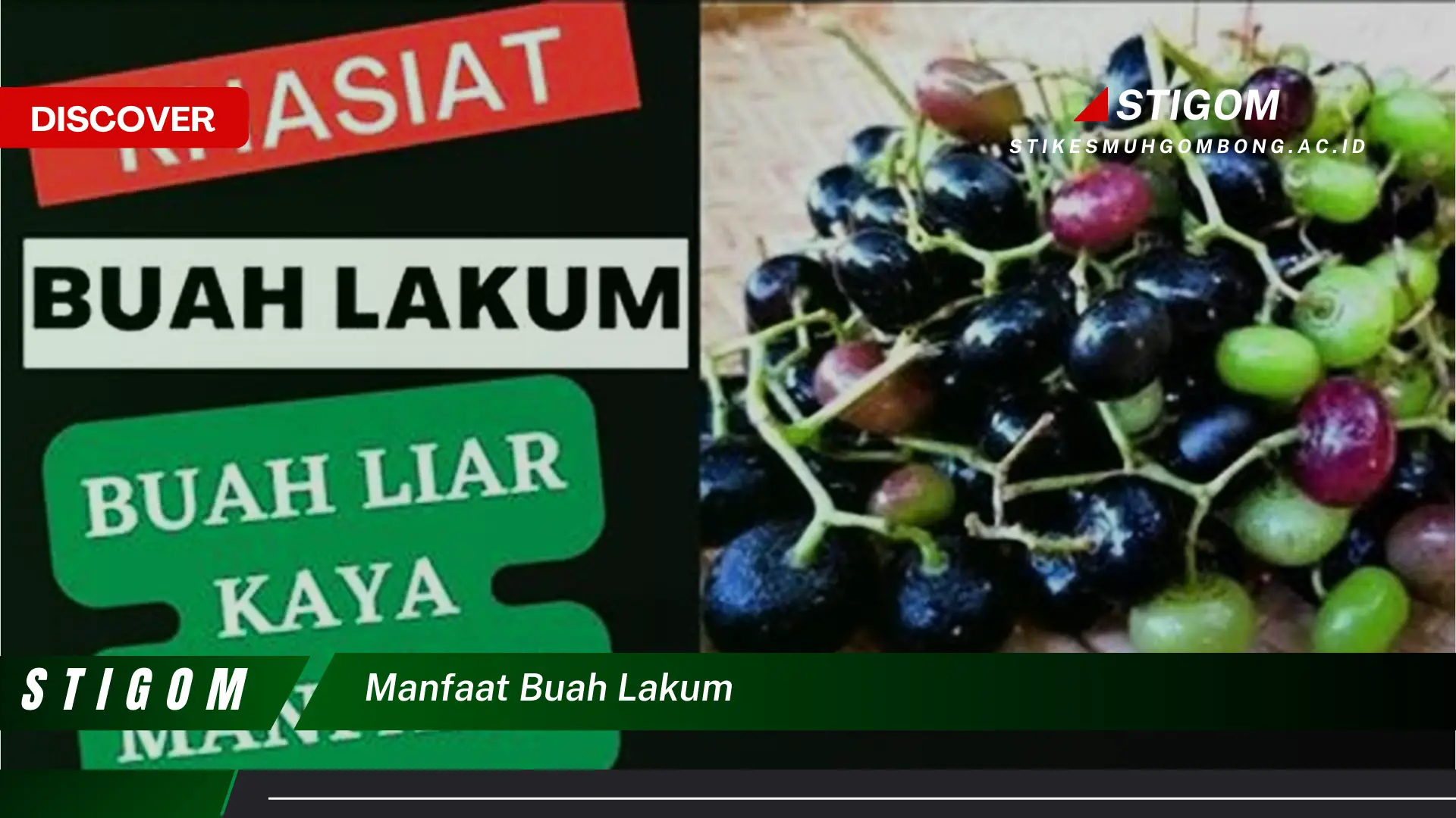 Ketahui 8 Manfaat Buah Lakum untuk Kesehatan Tubuh Anda