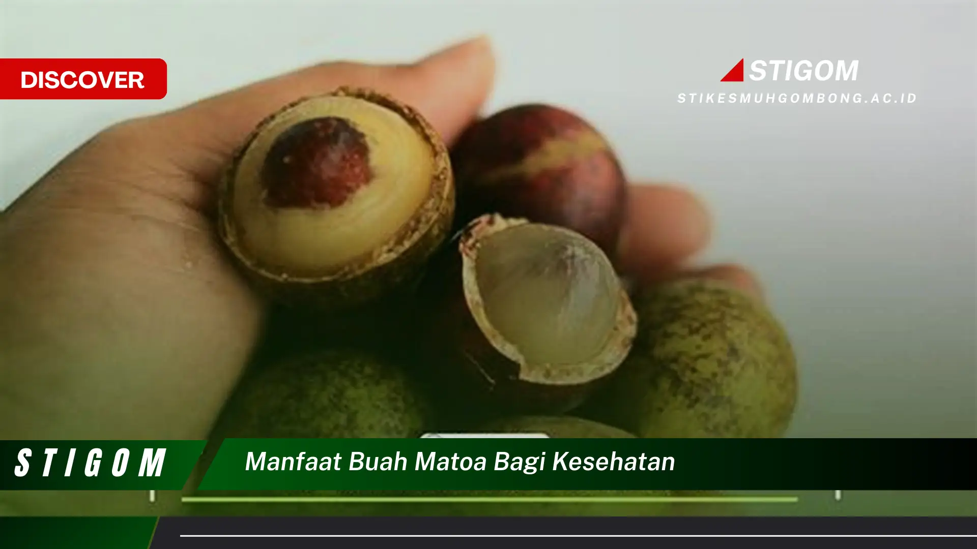 Ketahui 10 Manfaat Buah Matoa Bagi Kesehatan Tubuh Anda Secara Lengkap