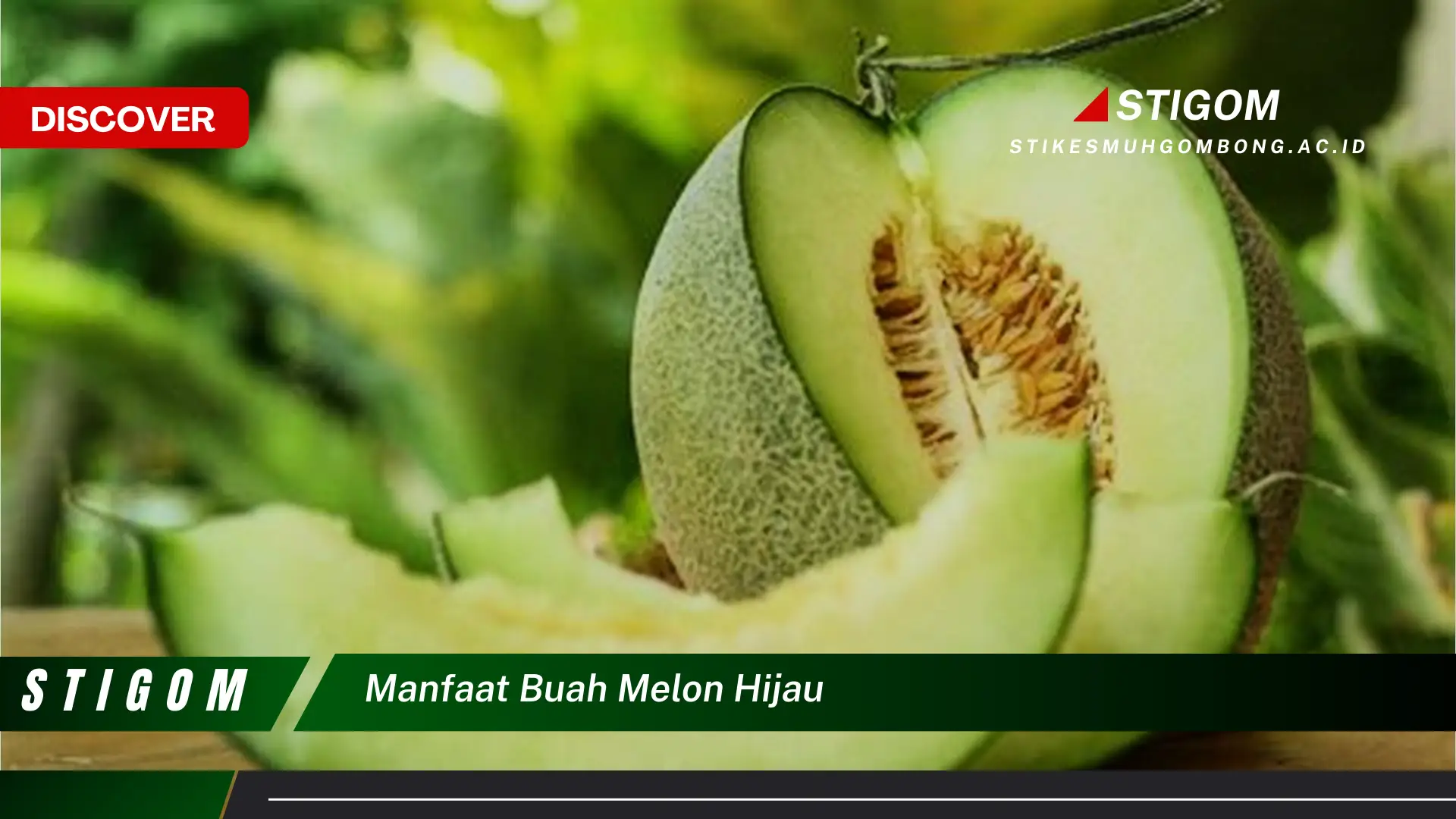 Ketahui 10 Manfaat Buah Melon Hijau untuk Kesehatan Anda