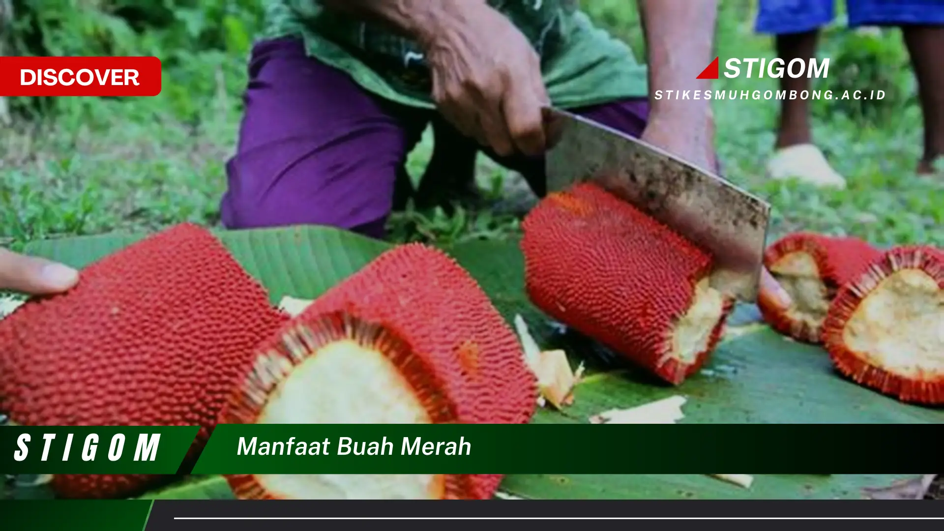 Ketahui 10 Manfaat Buah Merah untuk Kesehatan, Meningkatkan Imunitas dan Menjaga Daya Tahan Tubuh