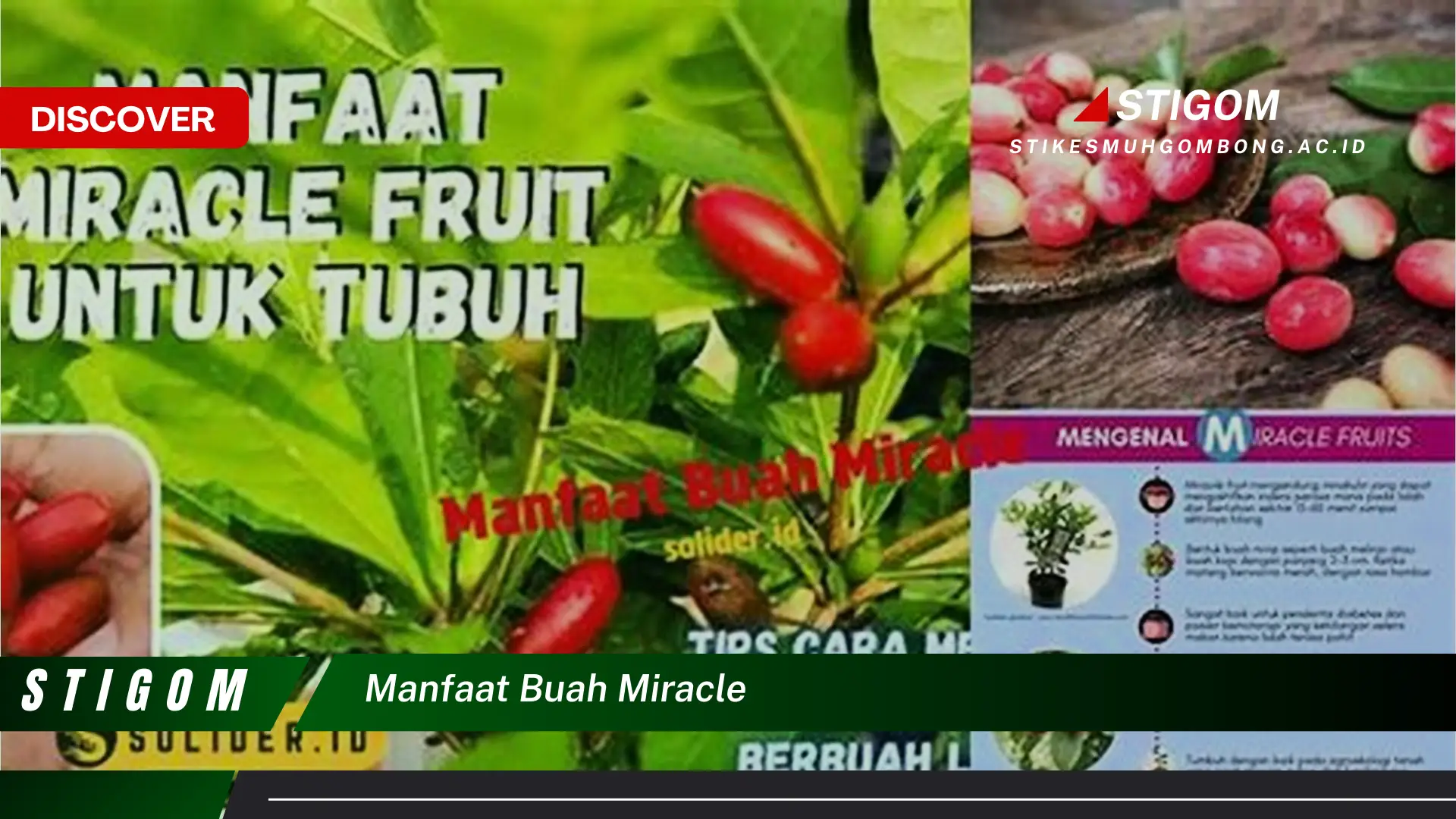 Ketahui 8 Manfaat Buah Miracle untuk Kesehatan Tubuh Anda