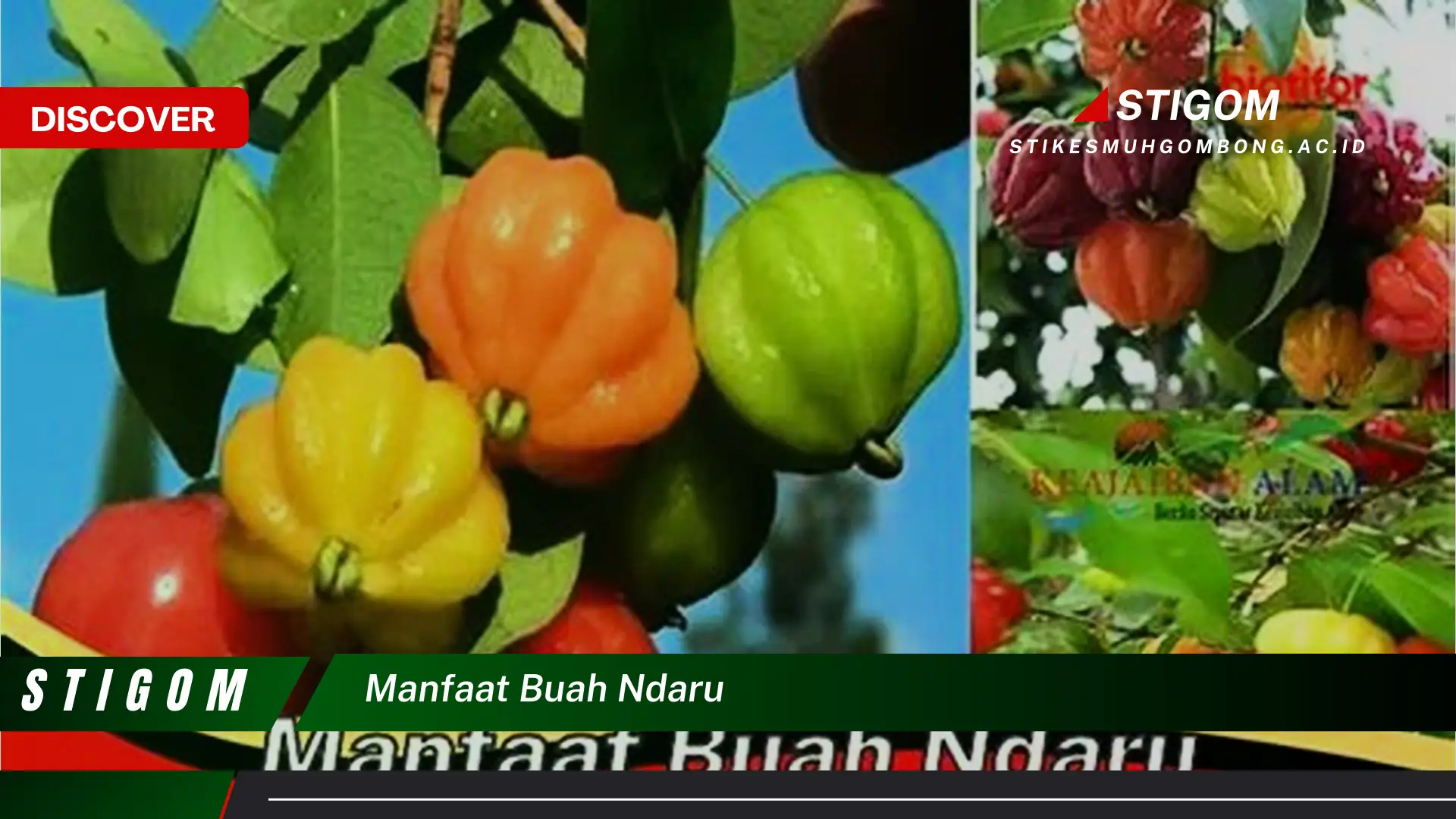 Ketahui 9 Manfaat Buah Ndaru untuk Kesehatan Anda