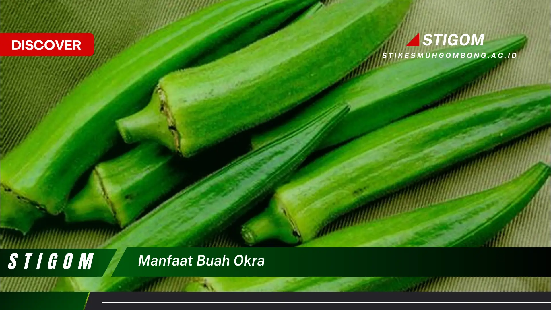 Ketahui 8 Manfaat Buah Okra untuk Kesehatan Tubuh Anda