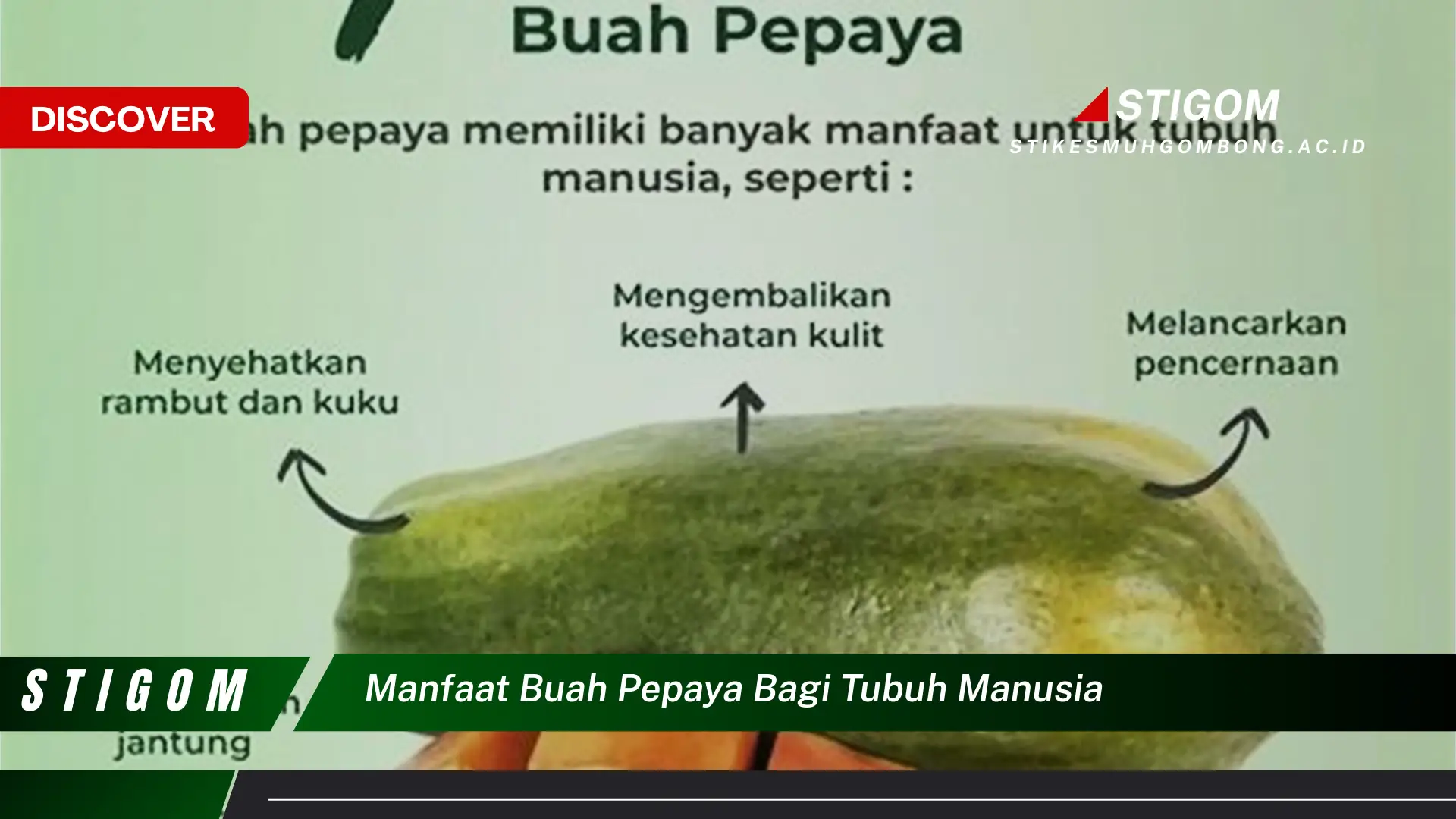 Ketahui 9 Manfaat Buah Pepaya bagi Tubuh Manusia, Dari Pencernaan hingga Kekebalan Tubuh