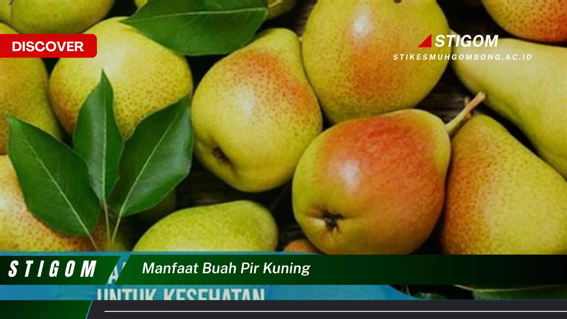 Ketahui 10 Manfaat Buah Pir Kuning untuk Kesehatan Anda