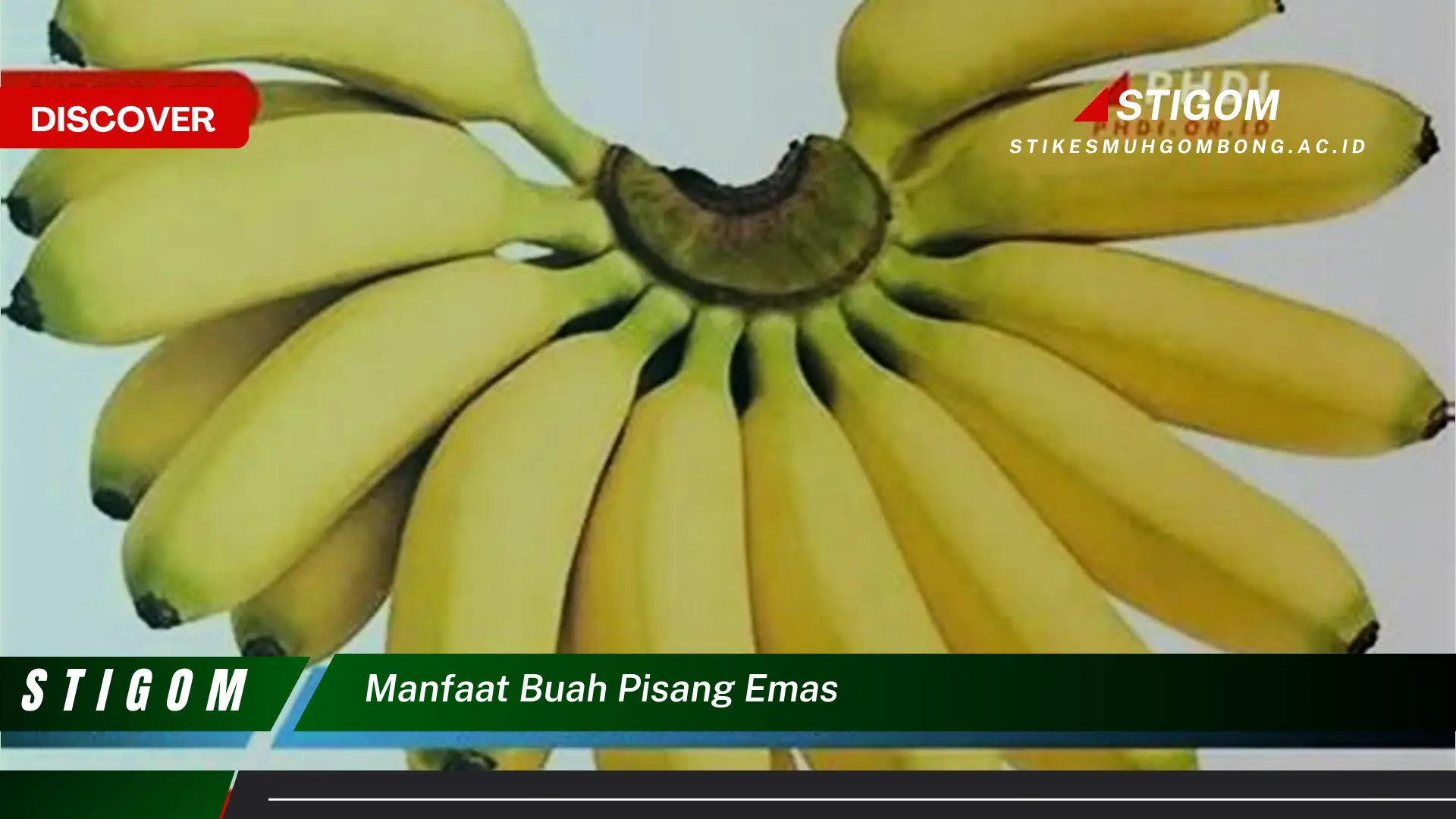 Ketahui 10 Manfaat Buah Pisang Emas untuk Kesehatan Tubuh Anda