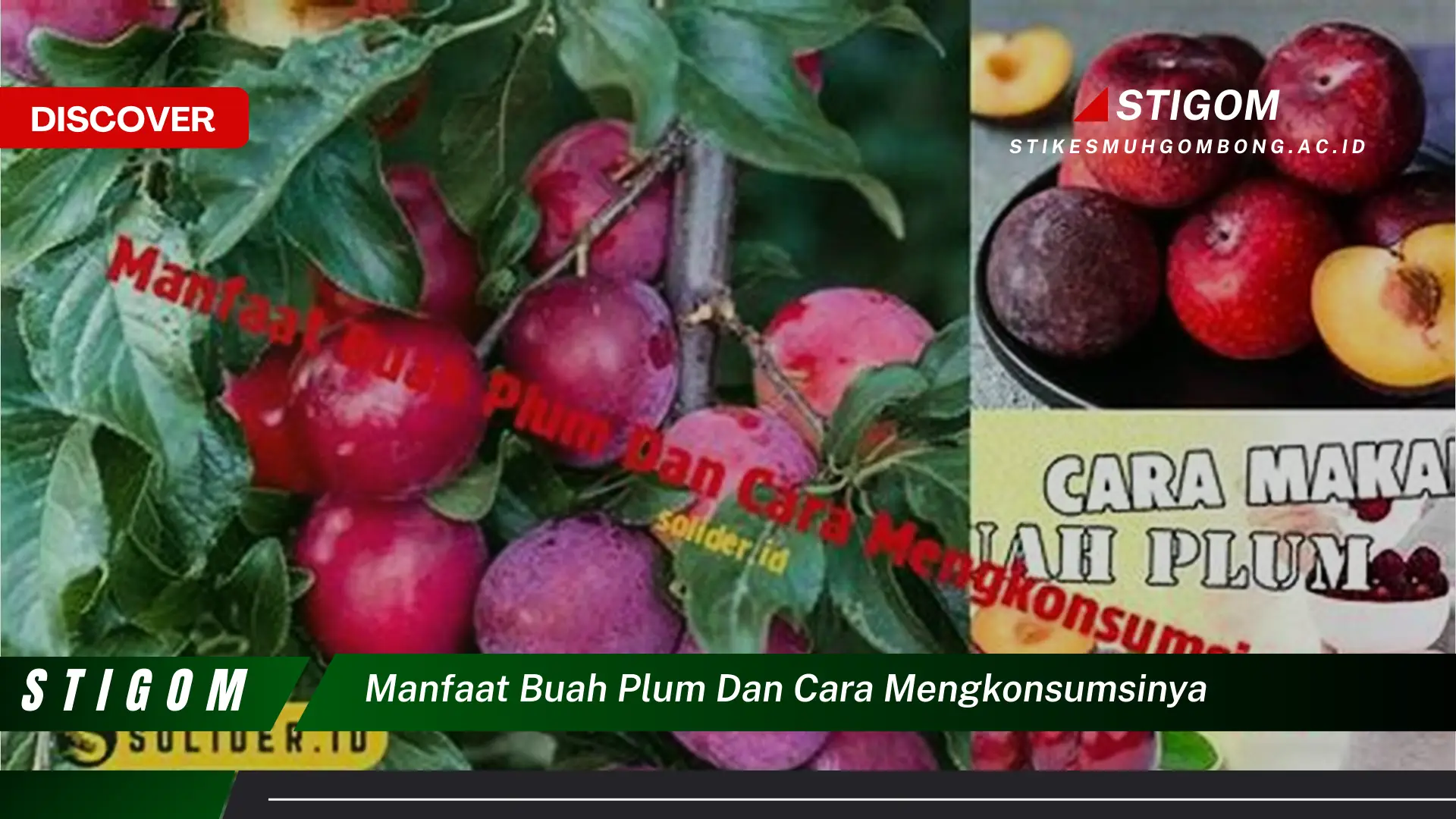 Ketahui 9 Manfaat Buah Plum untuk Kesehatan dan Cara Mengonsumsinya dengan Benar