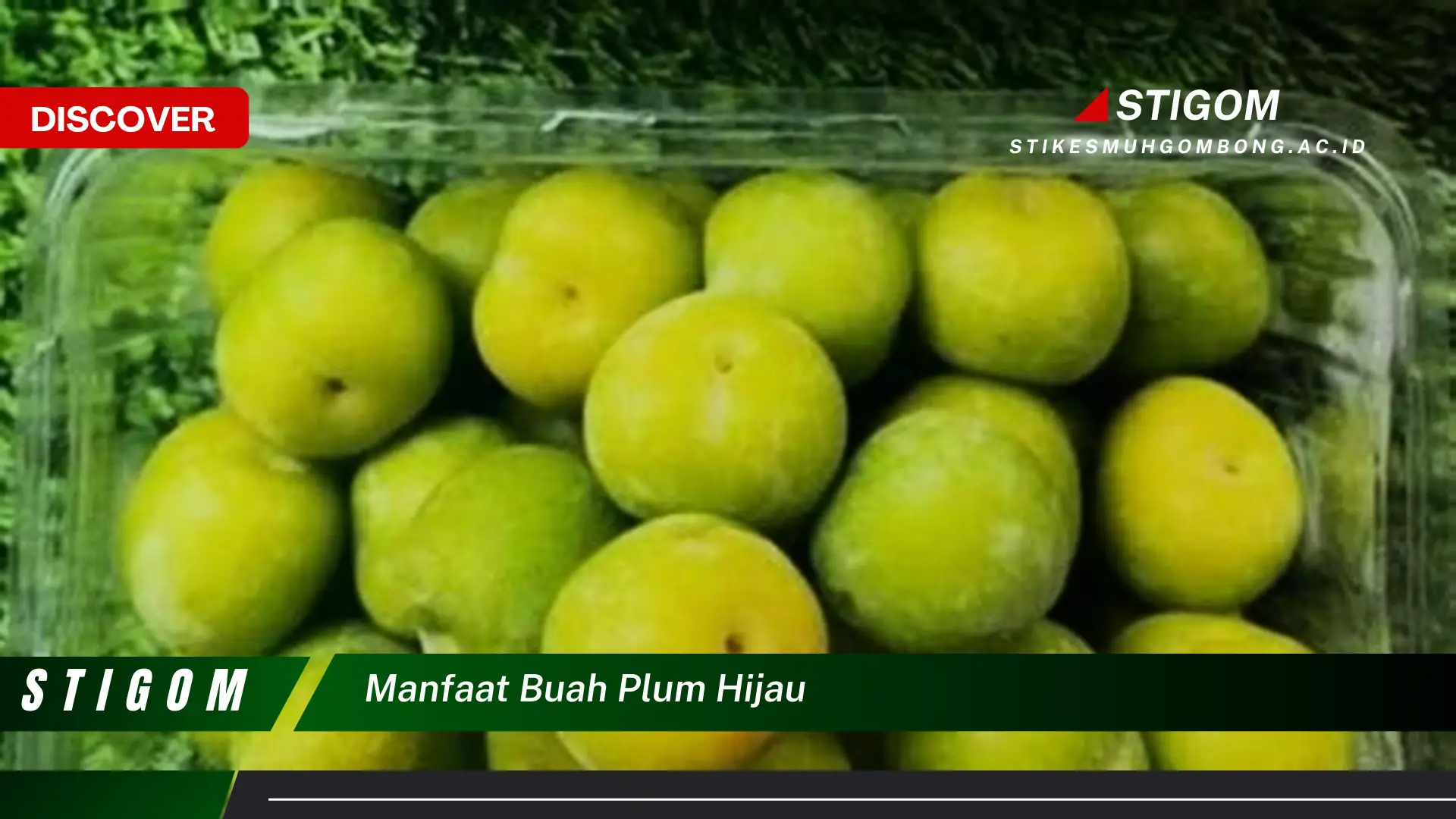 Ketahui 10 Manfaat Buah Plum Hijau untuk Kesehatan dan Kecantikan Anda