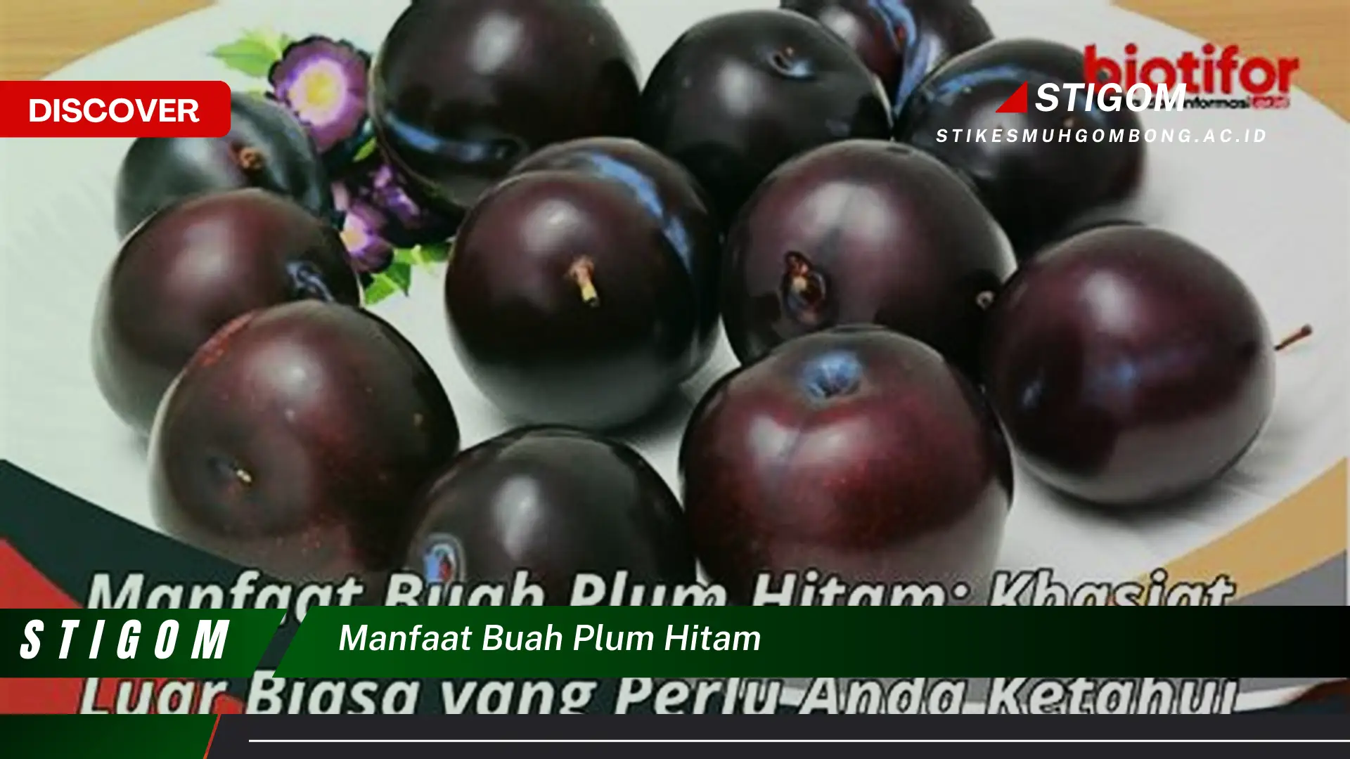 Ketahui 8 Manfaat Buah Plum Hitam untuk Kesehatan dan Kecantikan