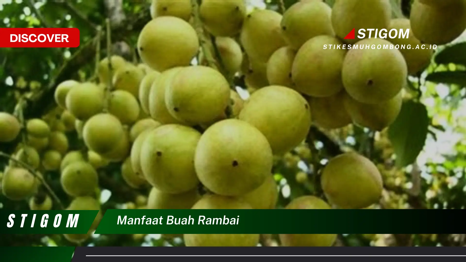 Ketahui 9 Manfaat Buah Rambai untuk Kesehatan Tubuh Anda