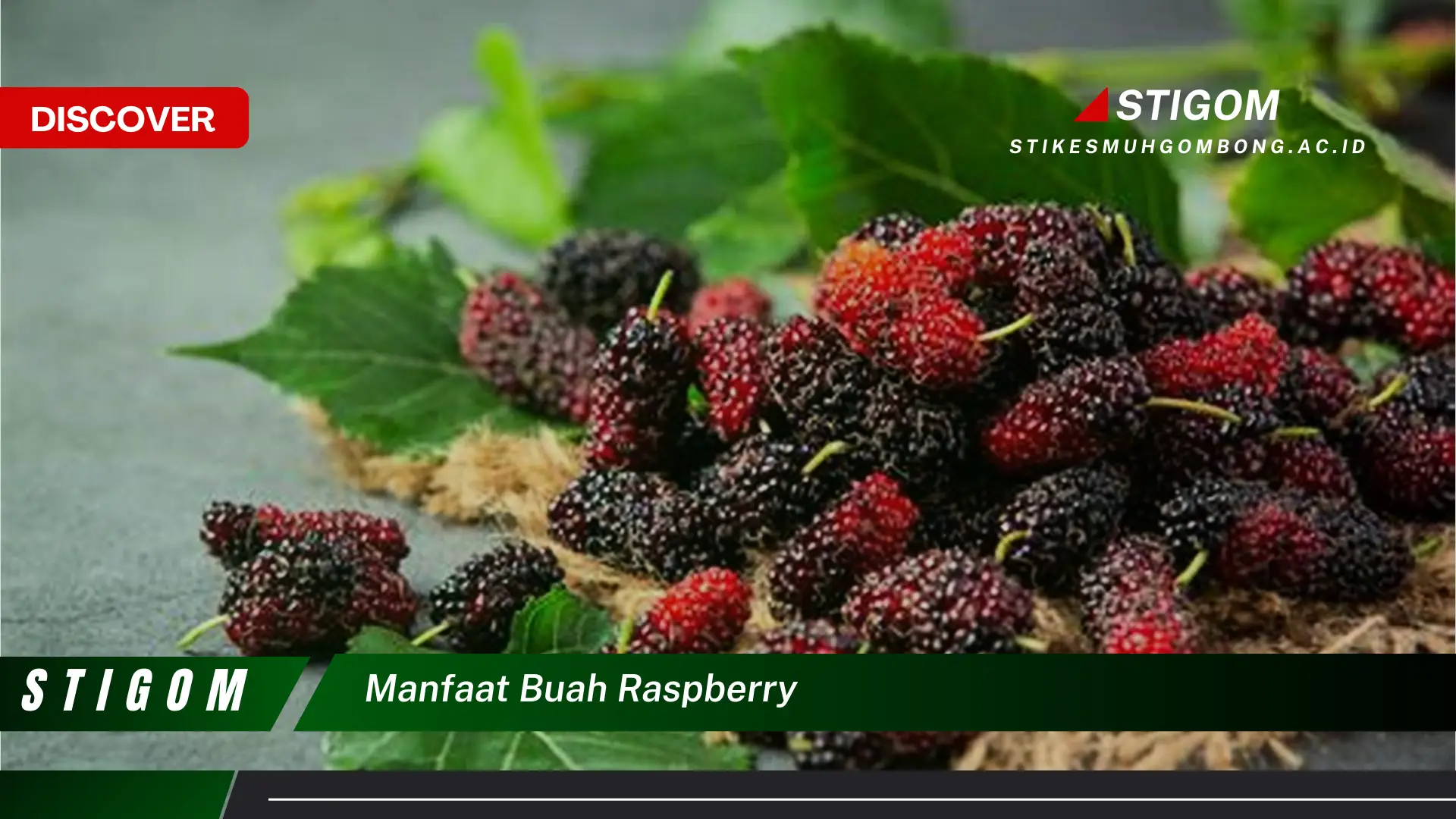 Ketahui 10 Manfaat Buah Raspberry untuk Kesehatan Tubuh Anda