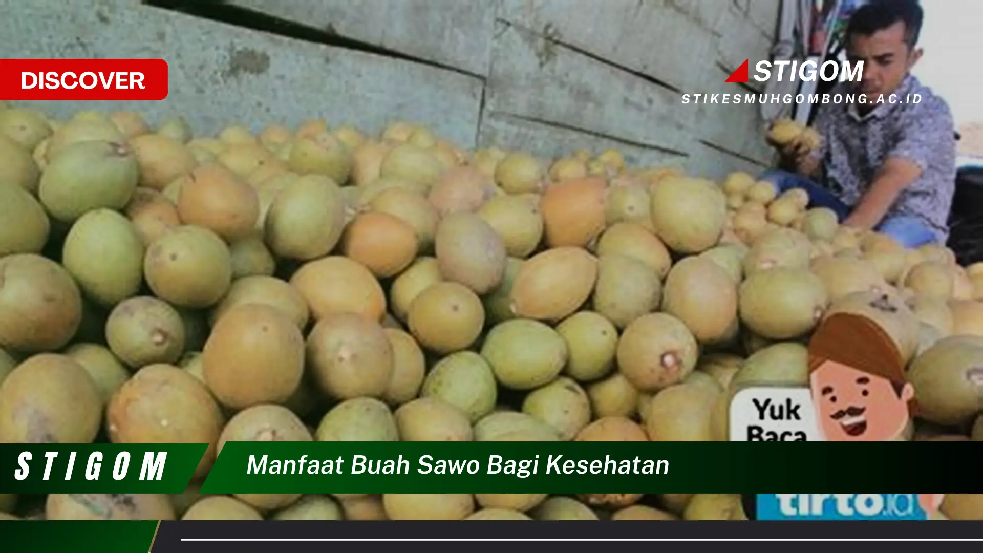 Ketahui 10 Manfaat Buah Sawo bagi Kesehatan, Dari Meningkatkan Kekebalan Tubuh Hingga Menjaga Kesehatan Pencernaan