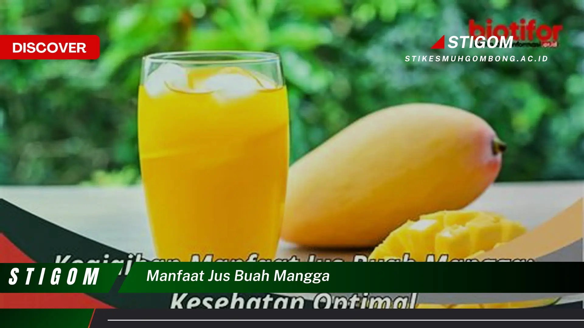 Ketahui 10 Manfaat Jus Buah Mangga untuk Kesehatan Tubuh Anda